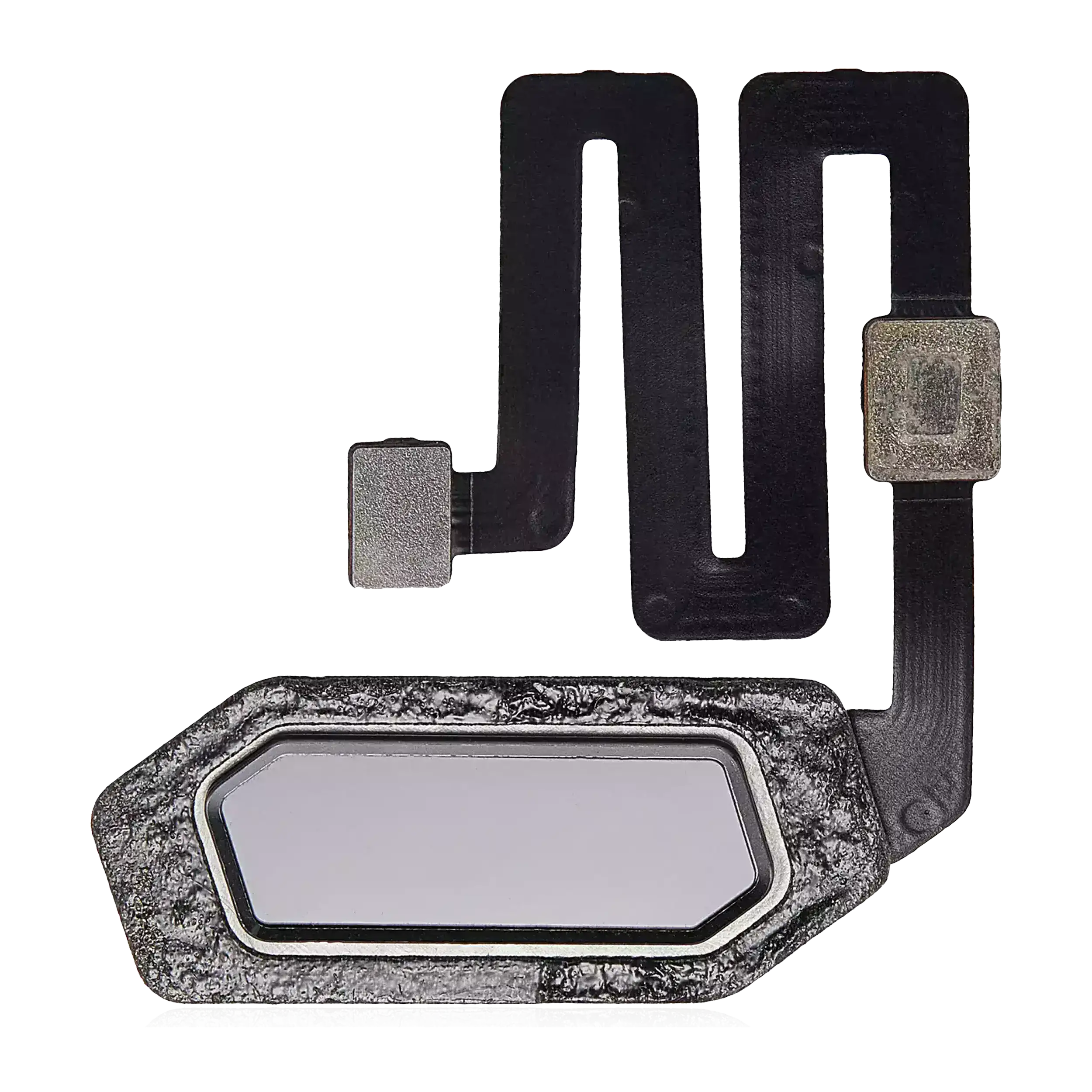 Fingerabdruck-Flexkabel für Asus ROG Phone (ZS600KL) (Schwarz)