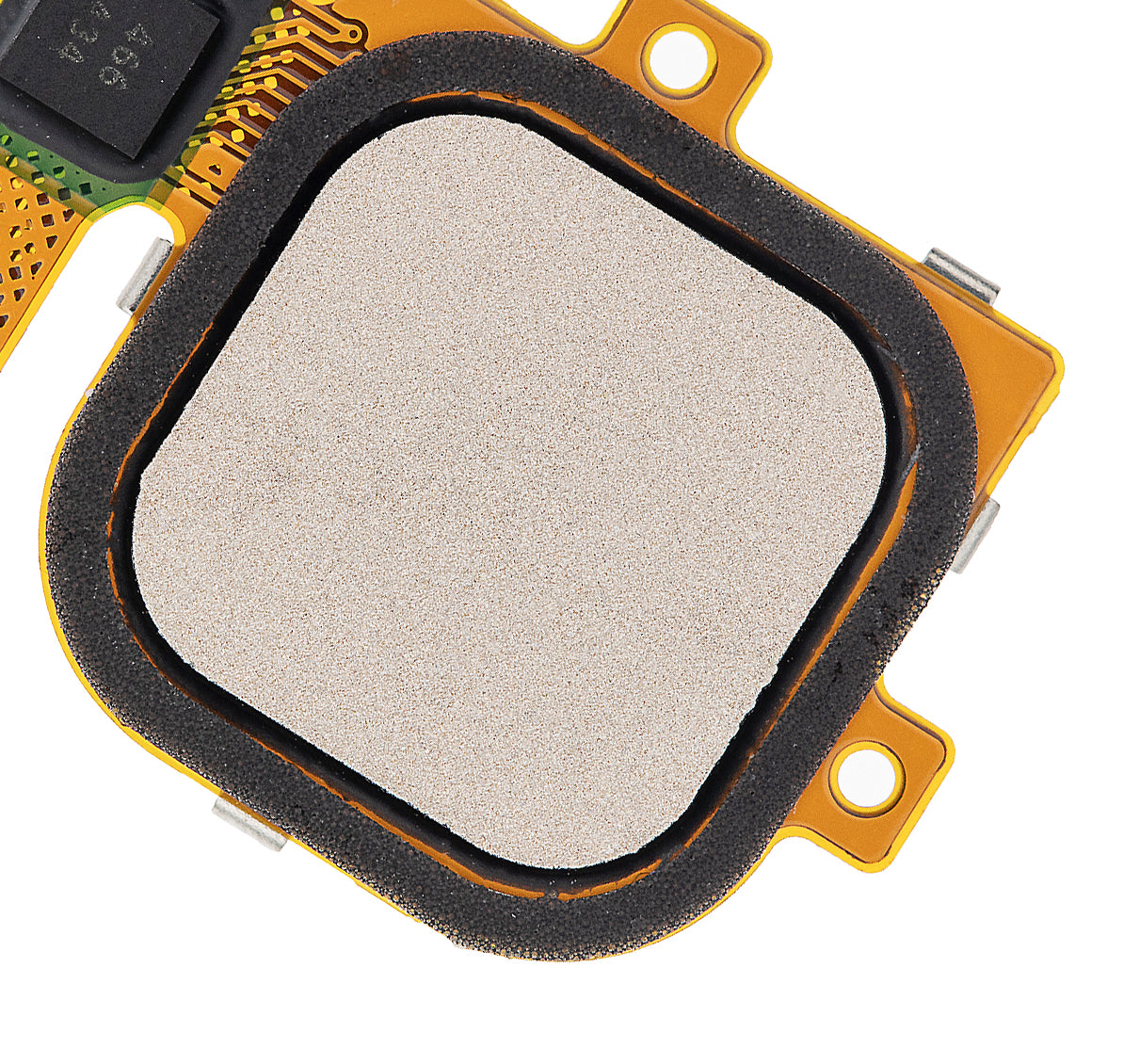Home-Button mit Flexkabel für Nexus 6P (H1511) (Gold)