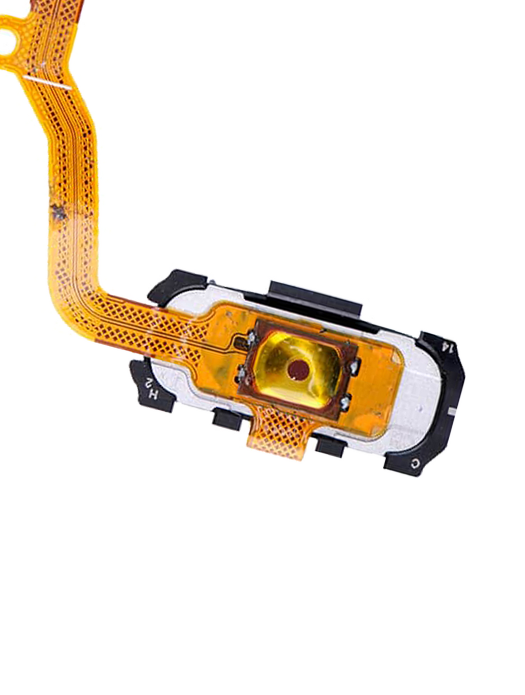 Home Button Flex Cable for Samsung Galaxy S7 Edge (White)