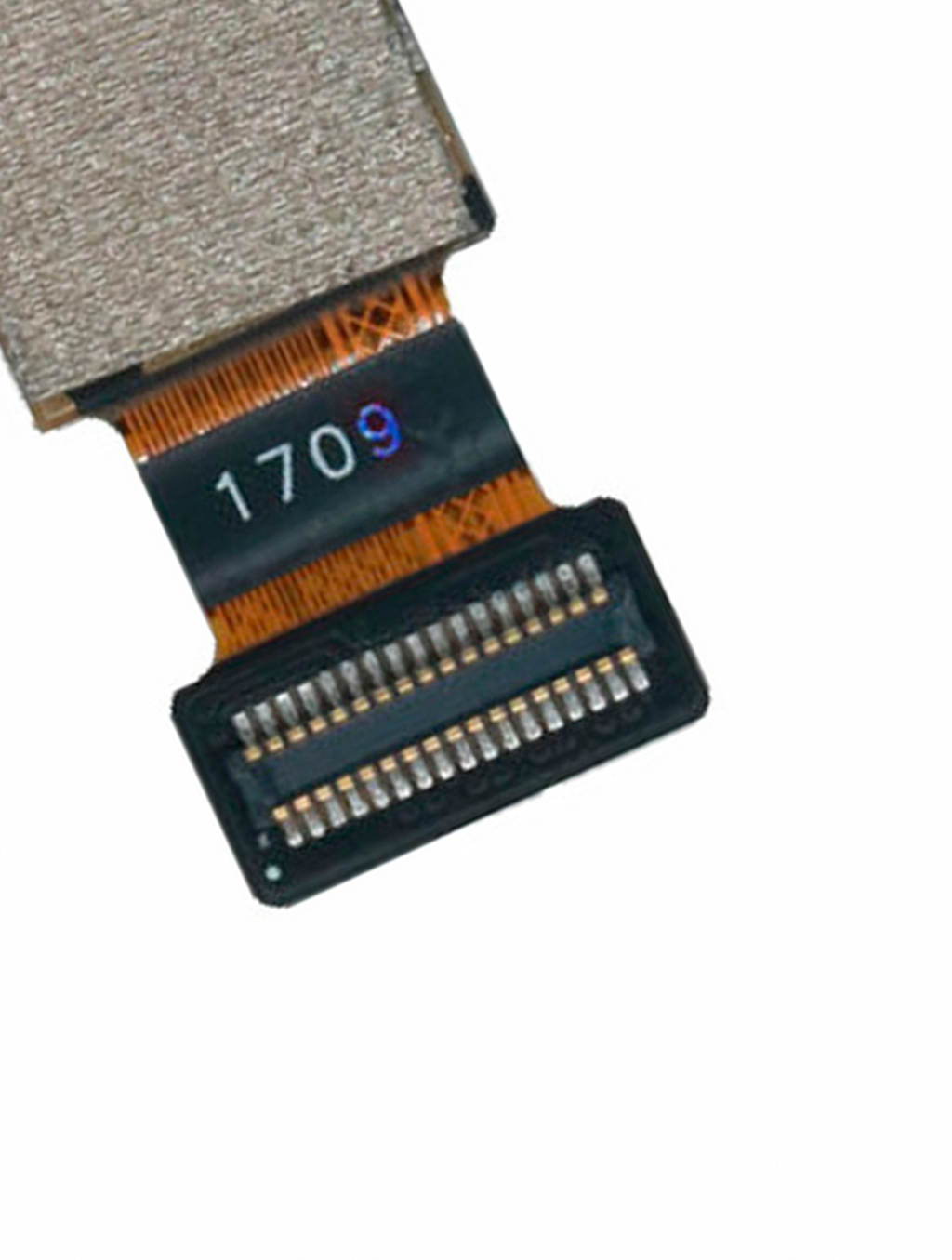 Rückkamera für Huawei Y6 (2017)