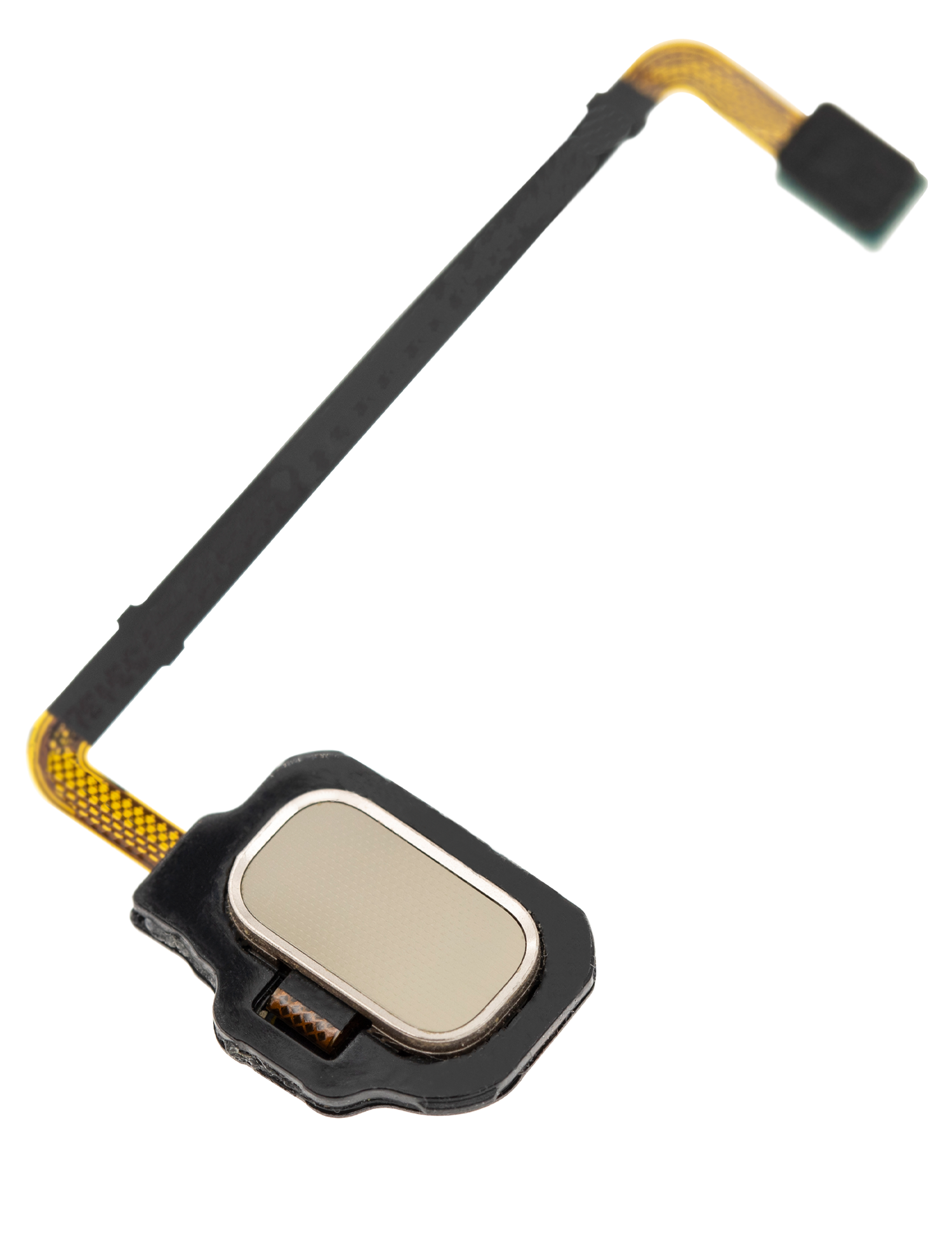 Fingerabdrucksensor mit Flexkabel für Samsung Galaxy S8 Active (Tungsten Gold)