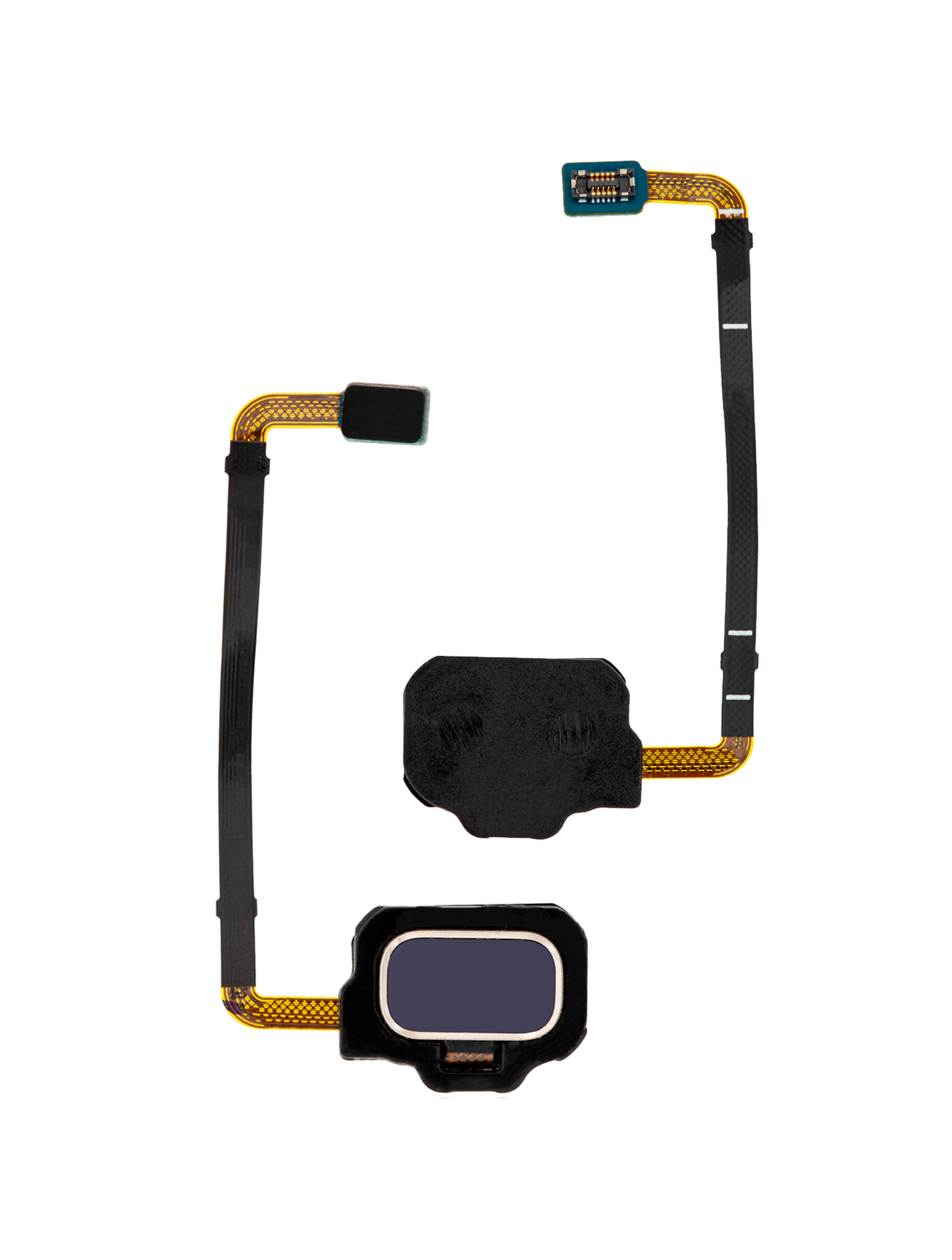 Fingerprint Reader mit Flex-Kabel für Samsung Galaxy S8 Active (Blau)