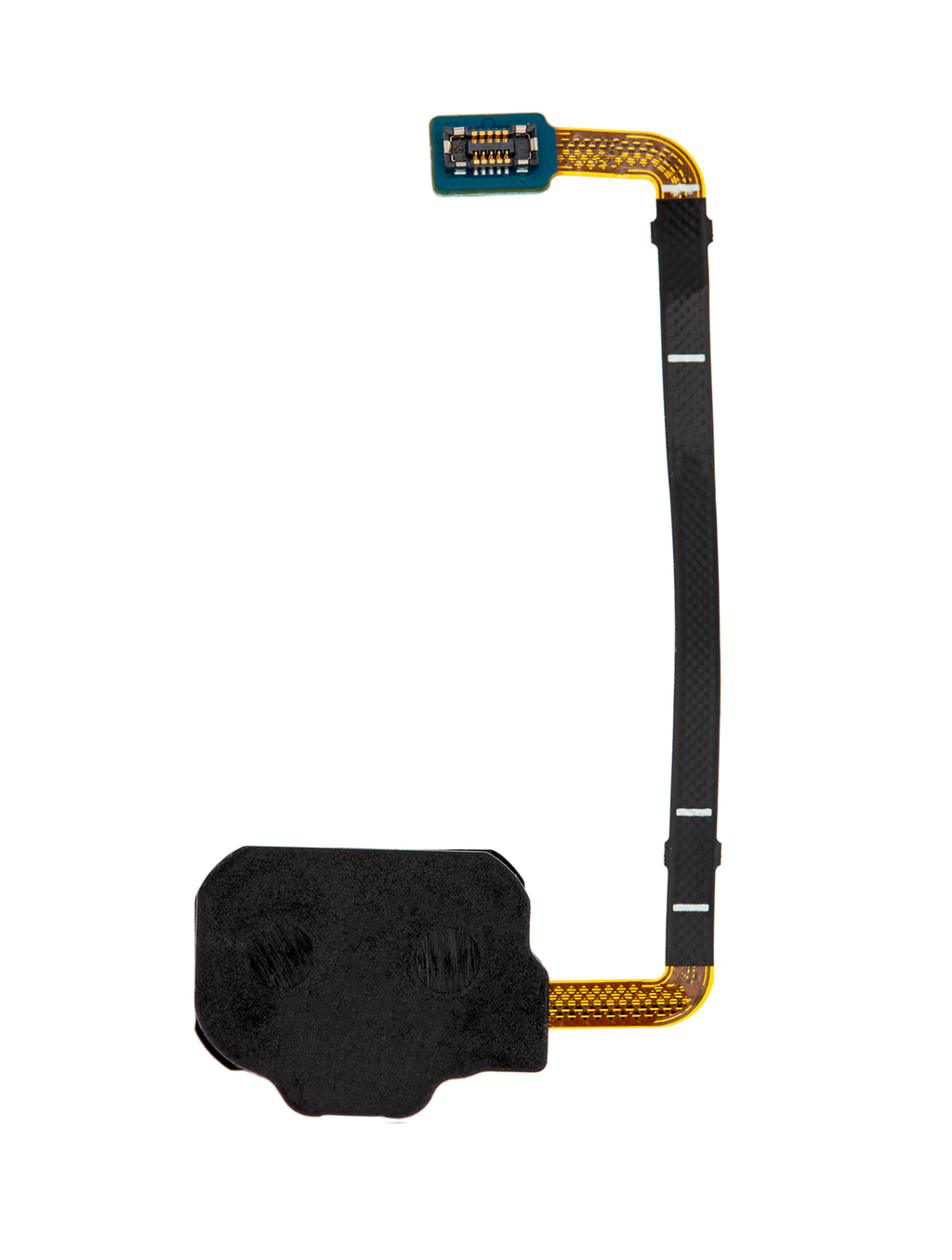 Fingerprint Reader mit Flex-Kabel für Samsung Galaxy S8 Active (Blau)