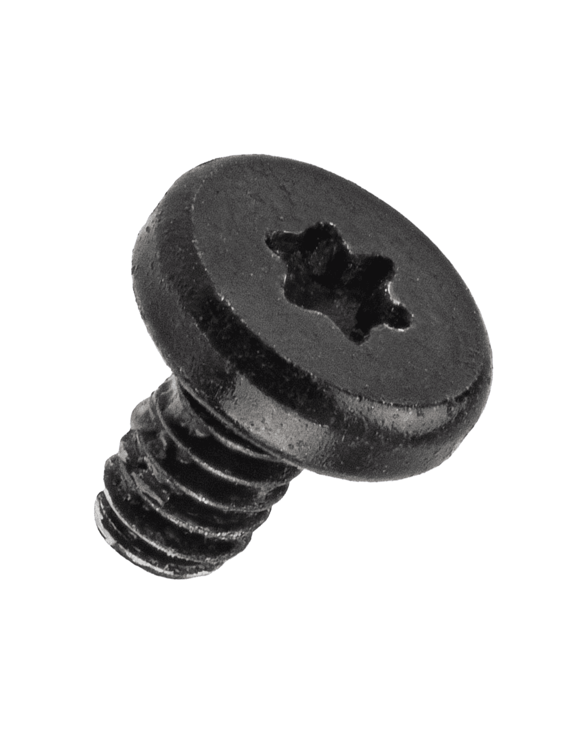 Audio Flex Cable Retaining Screws (long, Torx T5) – 100 Pack for MacBook Pro 13" A2289 (2020) / A2338 (2020)