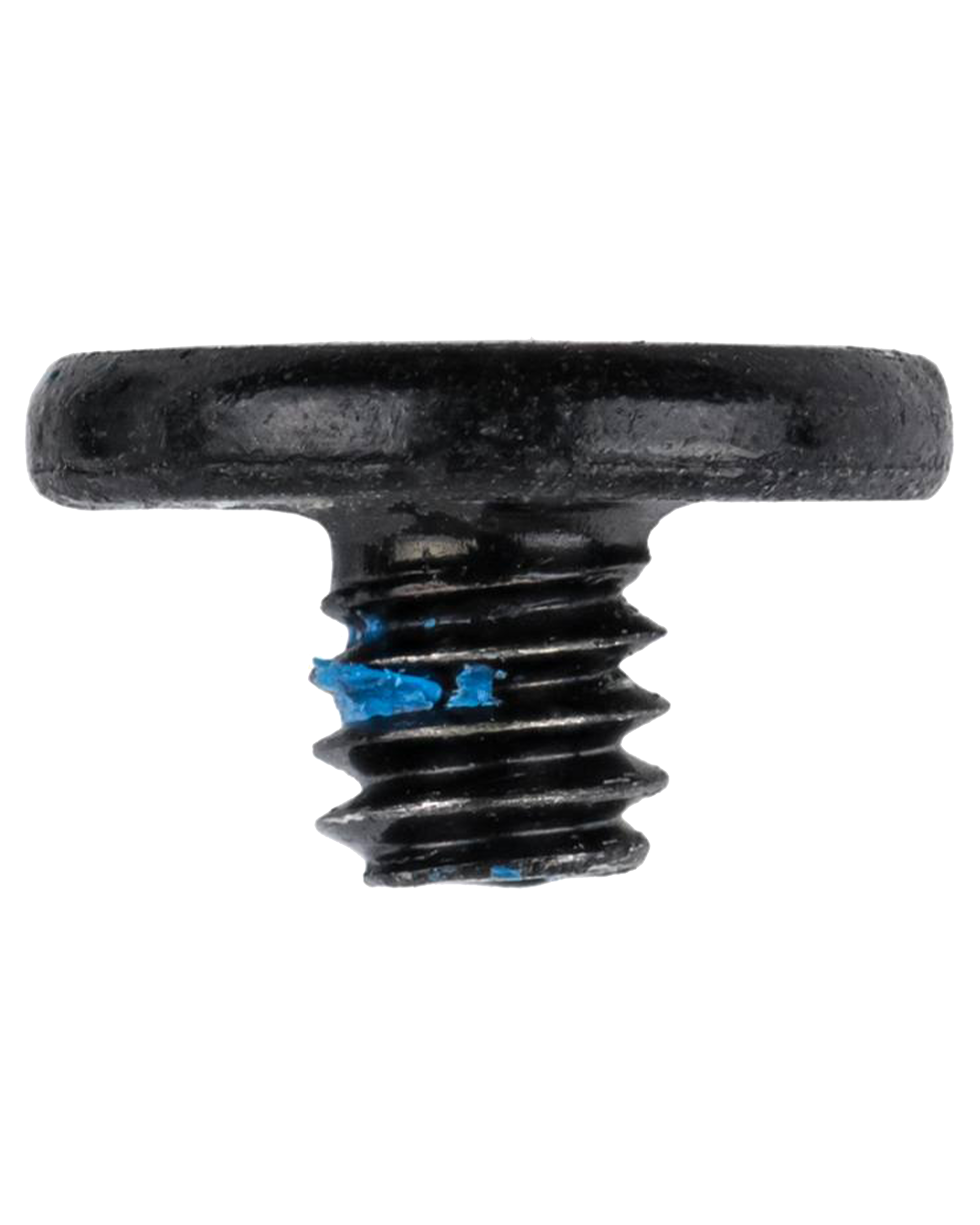 Logic Board Screws (Torx T5) for MacBook Pro 13" A2338 (2020) (100 pcs)
