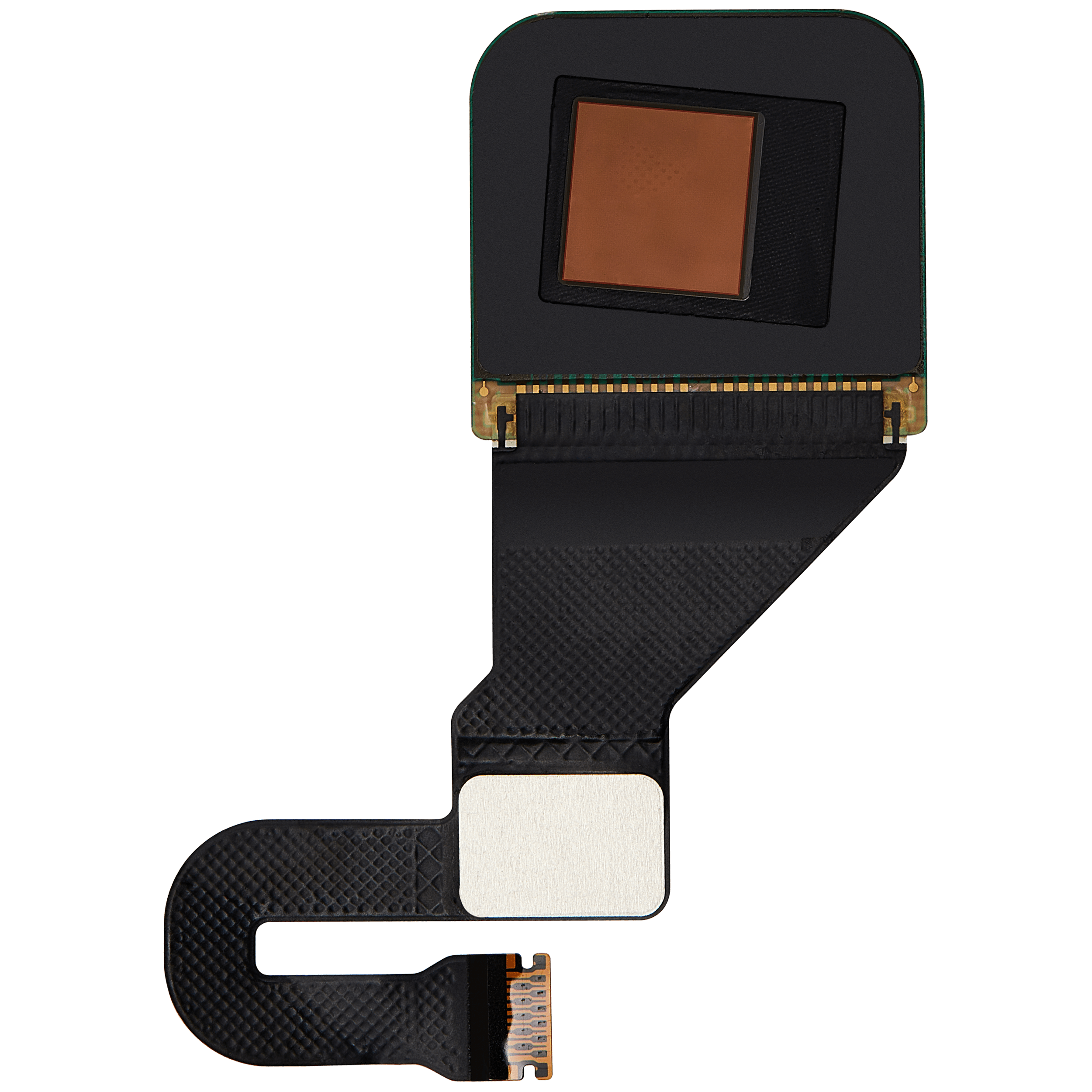 Fingerprint sensor for Google Pixel 6