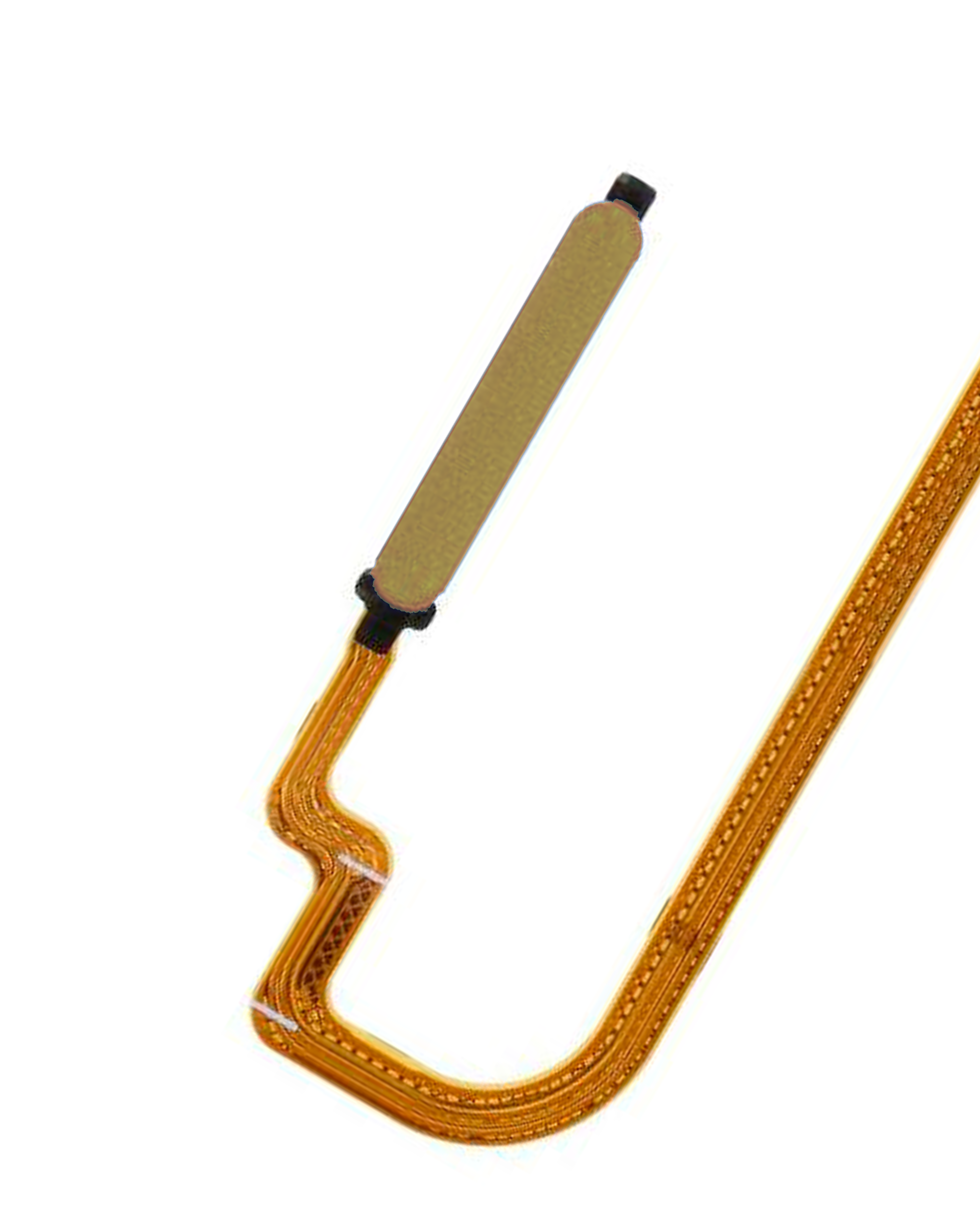 Fingerabdrucksensor Flex für Xiaomi Redmi Note 9S (Champagne Gold)