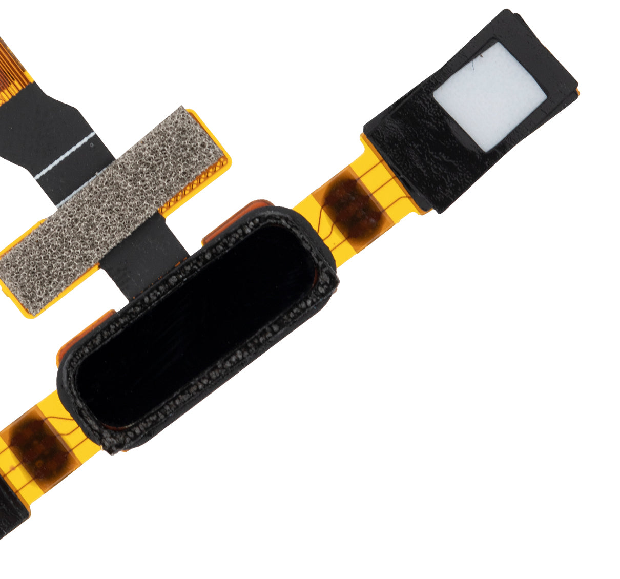 Home Button Flex Cable for Nokia 8