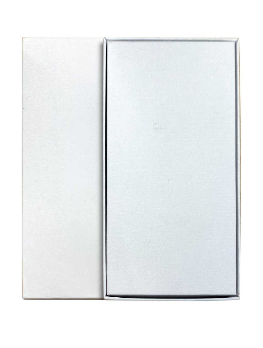 Universelle schlanke iPad-Box für iPad Mini (alle Generationen)