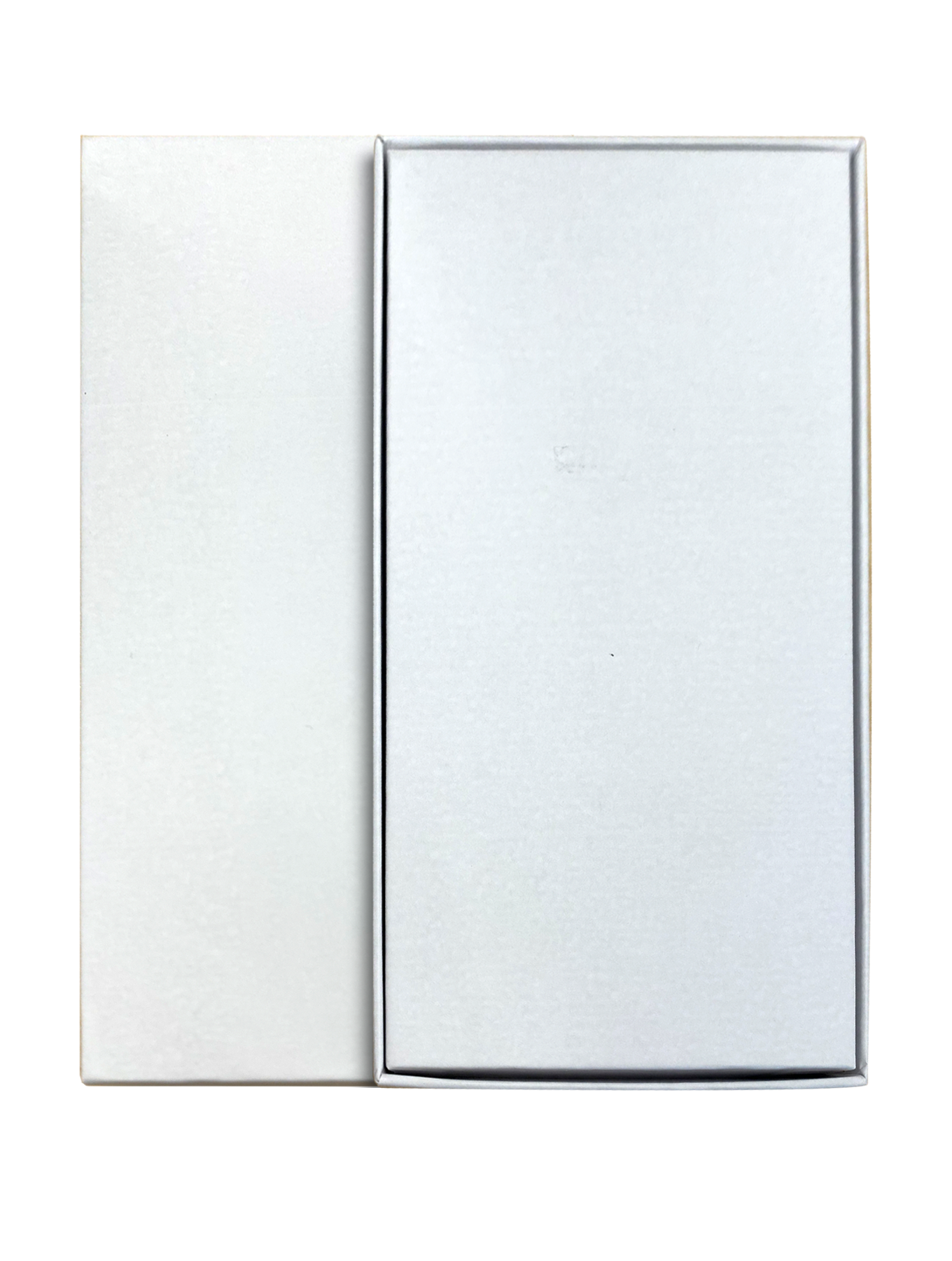 Universelle schlanke iPad-Box für iPad Mini (alle Generationen)