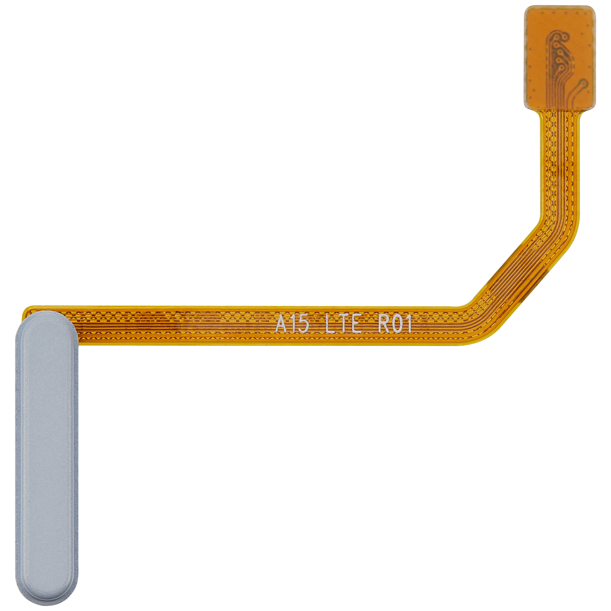 Fingerprint Sensor with Flex Cable for Samsung Galaxy A15 (A155 / 2023) (Magical Blue)