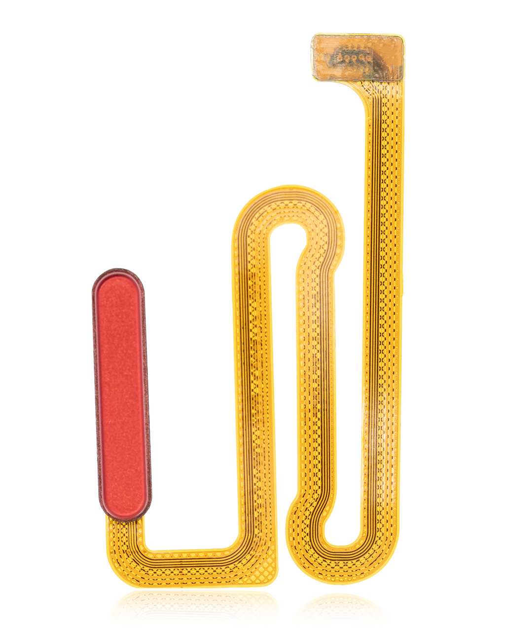 Fingerprint Sensor with Flex Cable for Samsung Galaxy A12 (A125 / 2020) (Red)