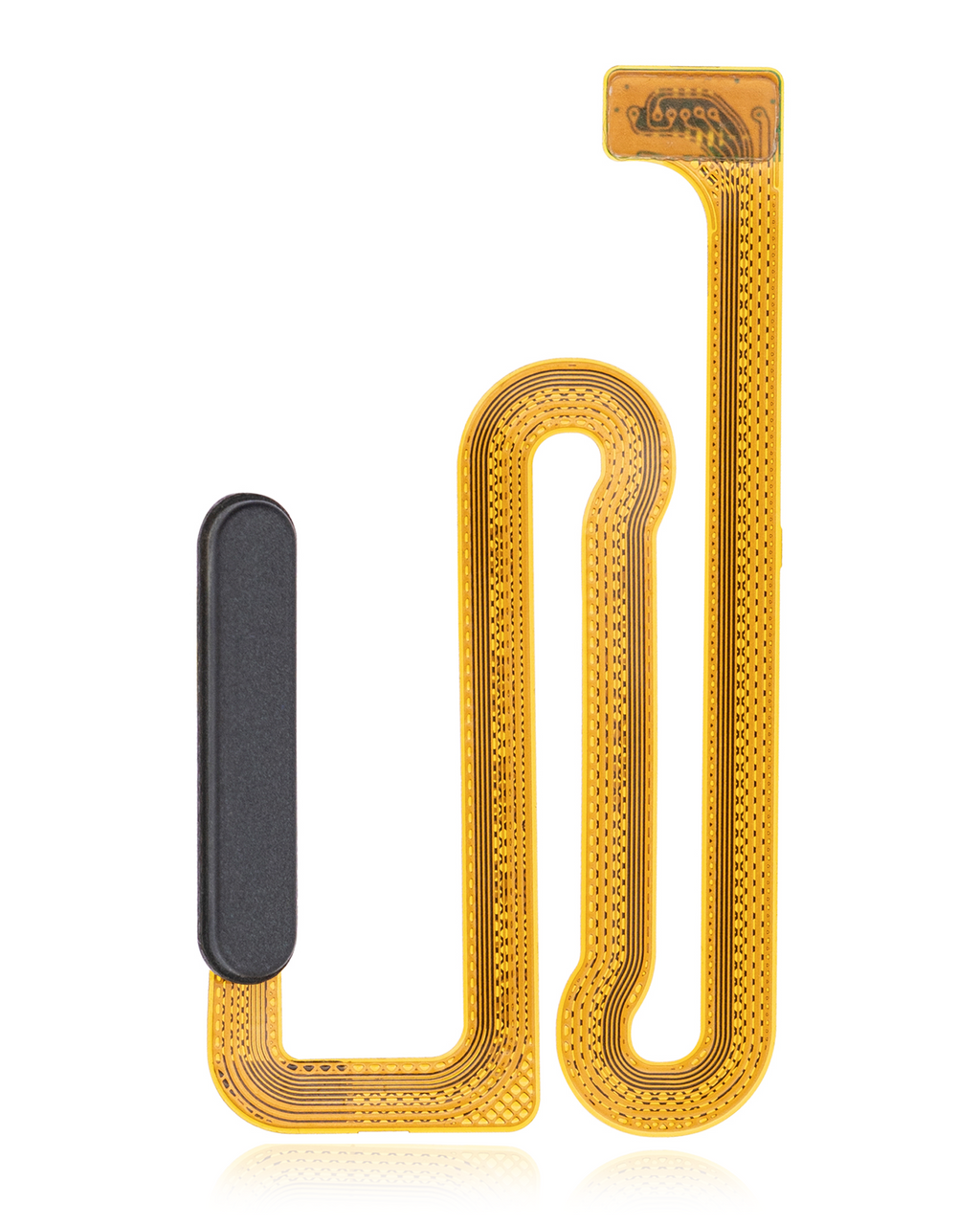 Fingerabdrucksensor Flexkabel für Samsung Galaxy A12 Schwarz (Qualität A)