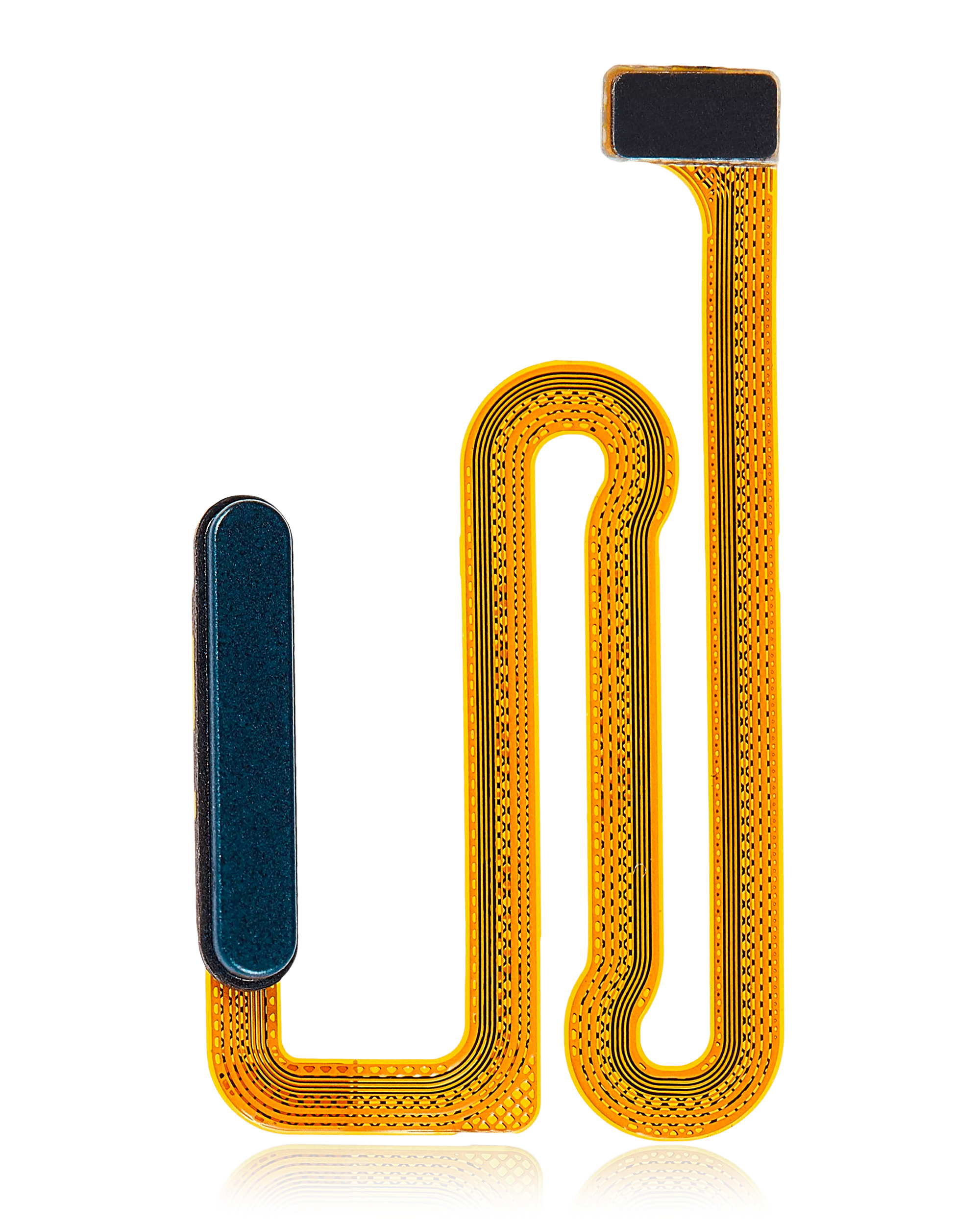 Fingerabdruckleser mit Flexkabel für Samsung Galaxy A04s (A047 / 2022) (Grün)