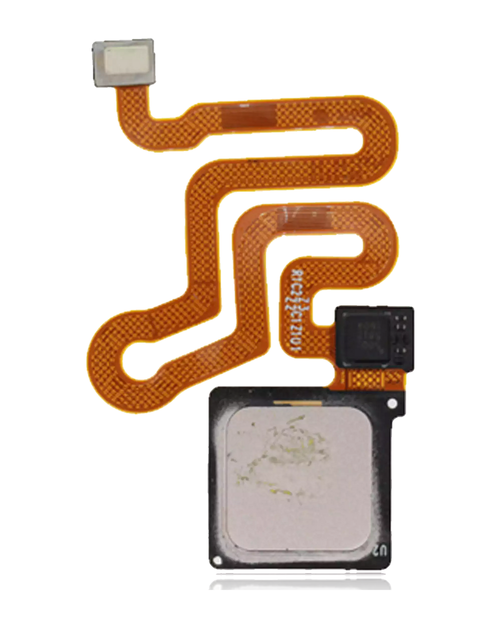 Fingerprint Reader with Flex Cable for Huawei P9 Lite (Gold)