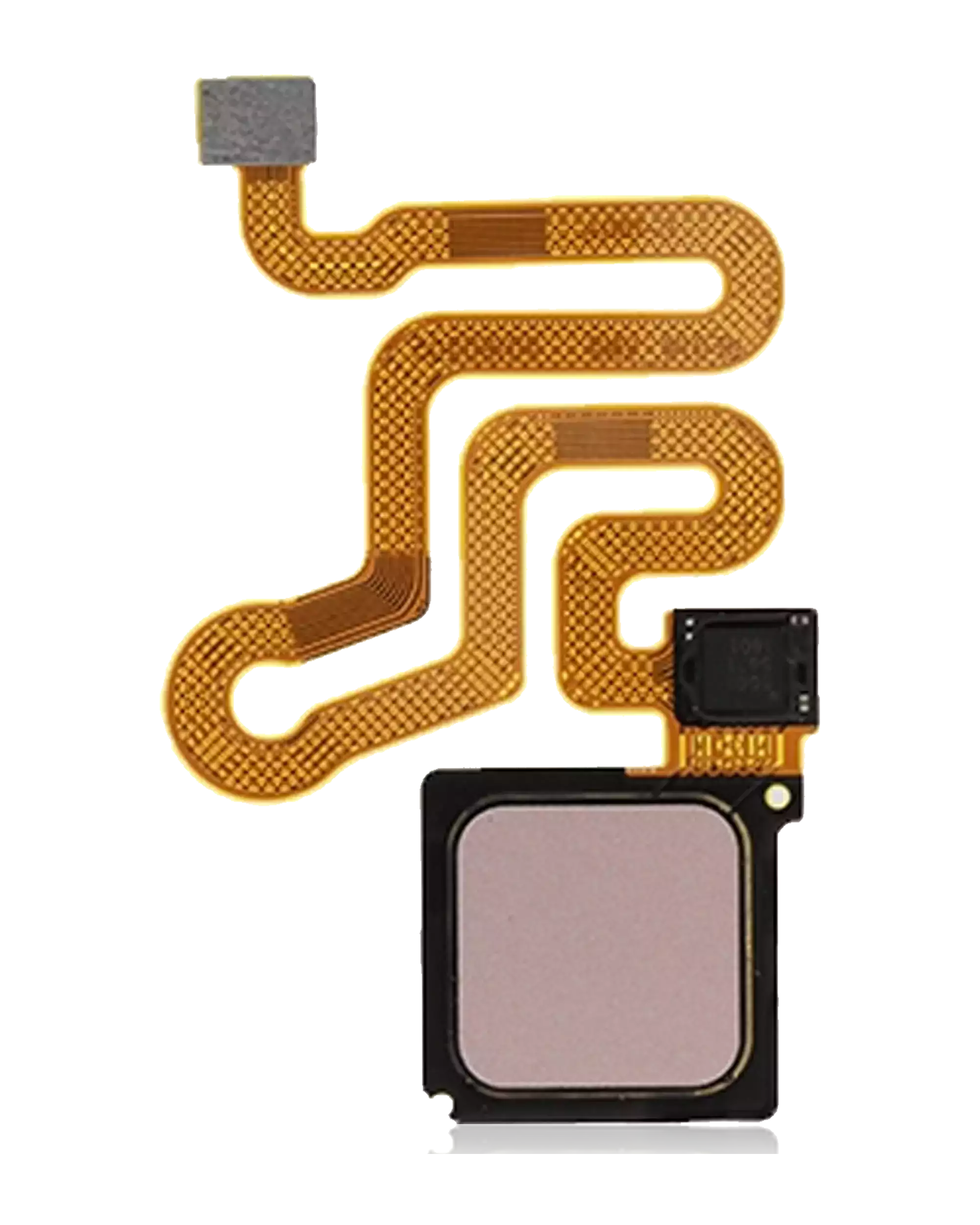 Fingerabdrucksensor mit Flex-Kabel für Huawei P9 (Rose Gold / Rot)