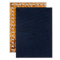 Charging Power Boost IC Chip for iPhone 14 Series / 15 Series (338S00843)