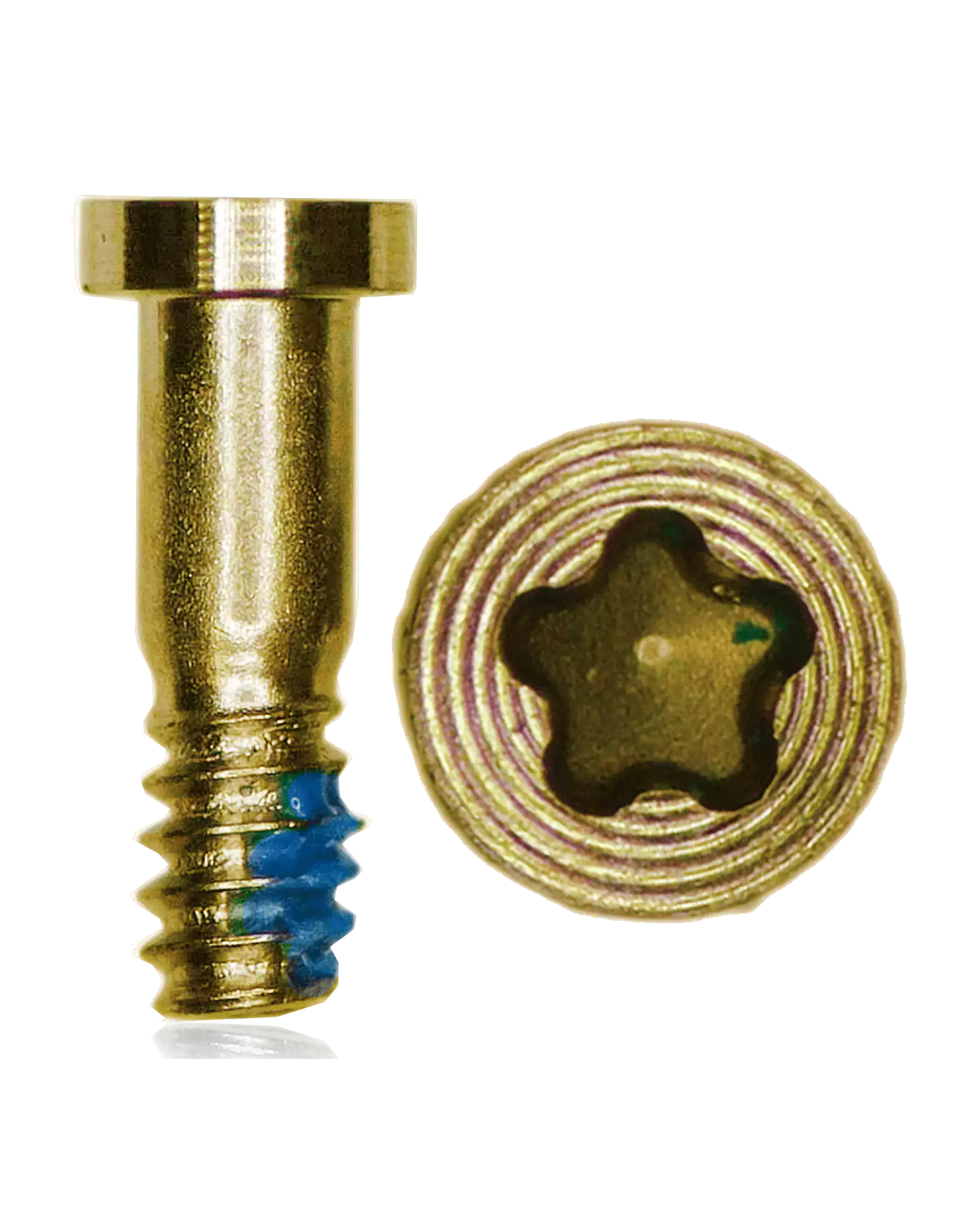 Bottom Screws for iPhone 5S (Gold) (100 pcs)