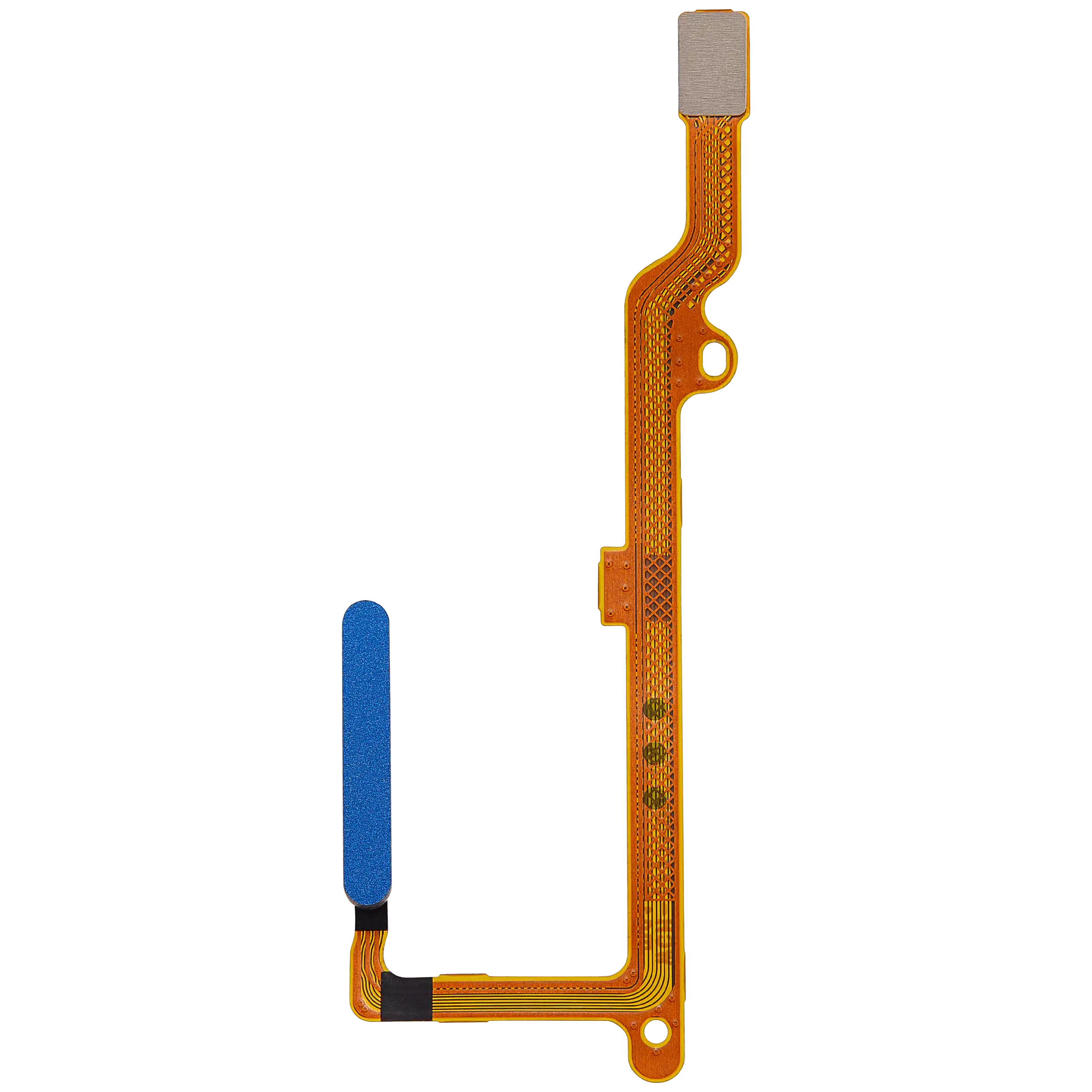 Fingerabdrucksensor mit Flexkabel für Honor 50 SE (Blau)