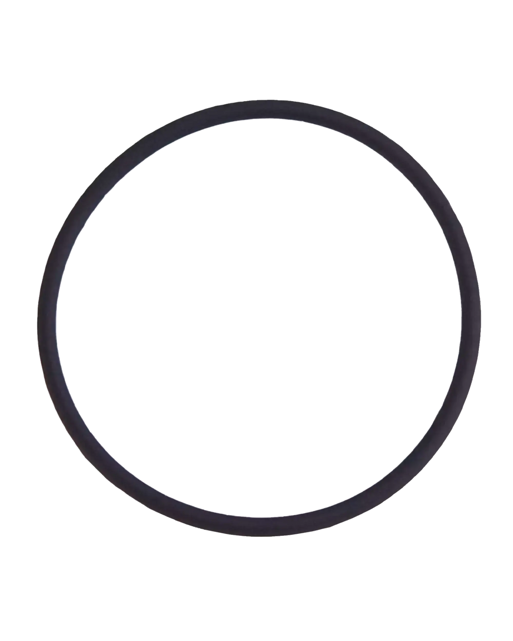 Kameralinse hinten O-Ring-Dichtung für iPhone 7 Plus (100er Pack)