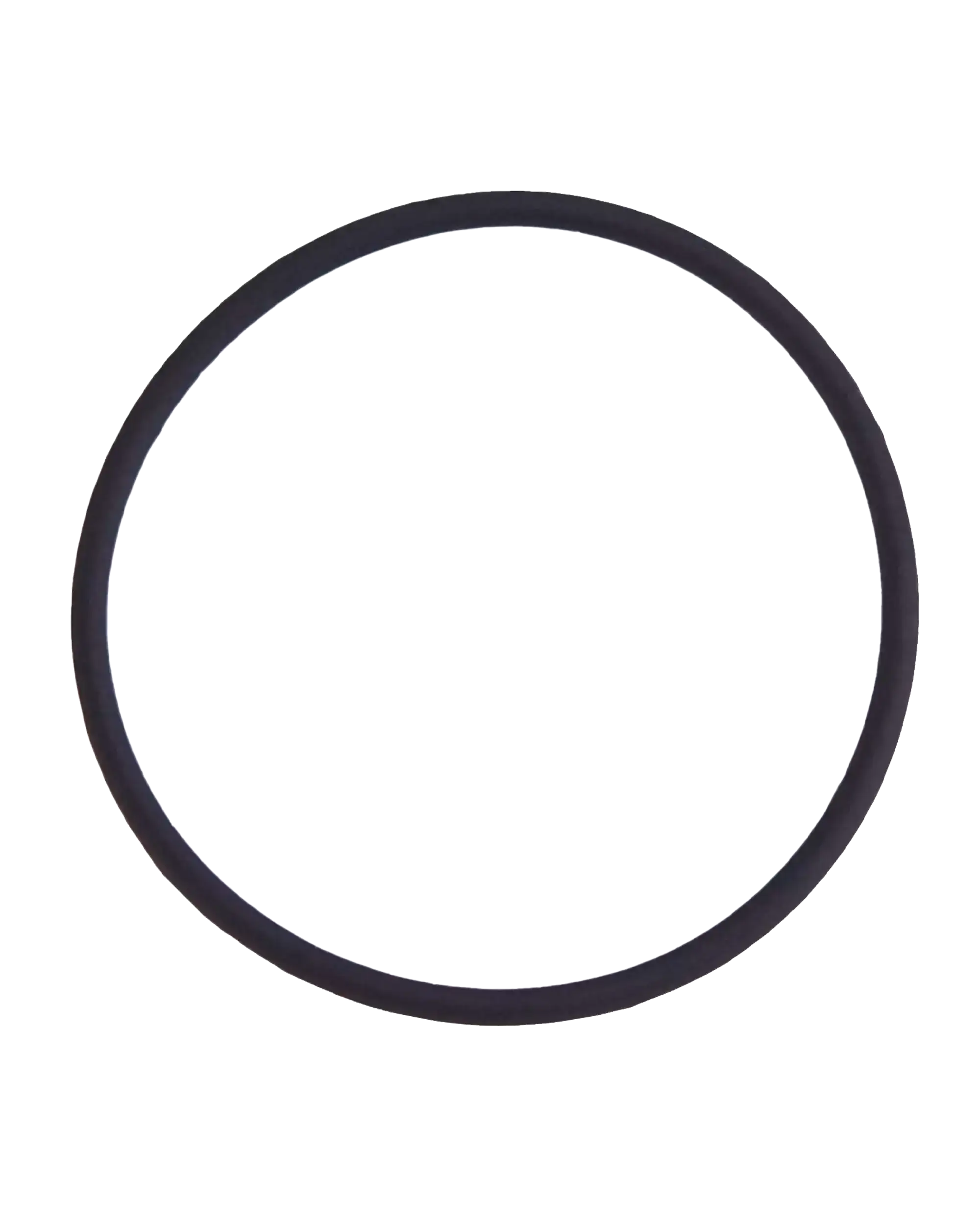 Kameralinse hinten O-Ring-Dichtung für iPhone 7 Plus (100er Pack)