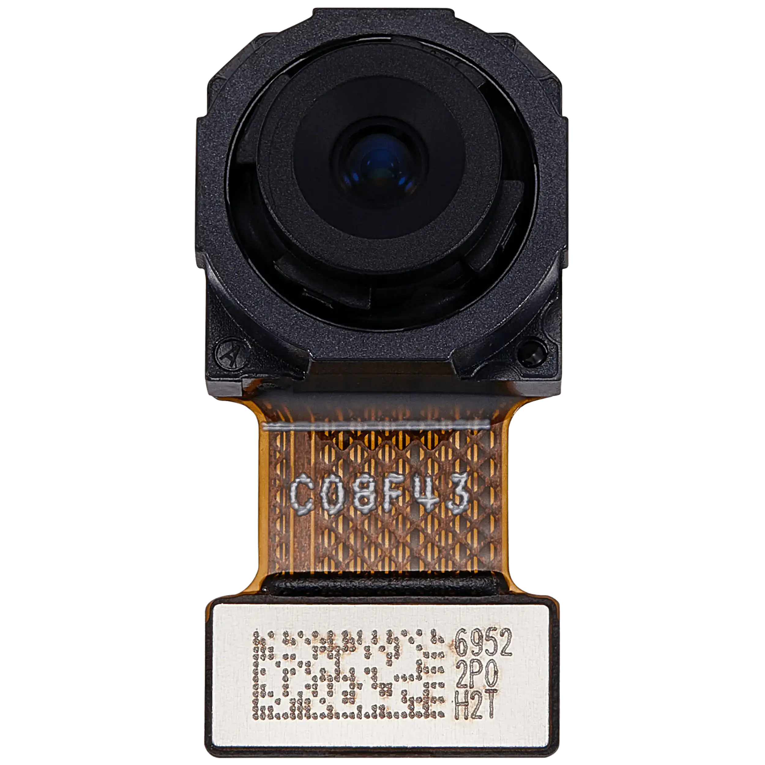 Rückkamera (Ultraweitwinkel) für Honor 50 SE