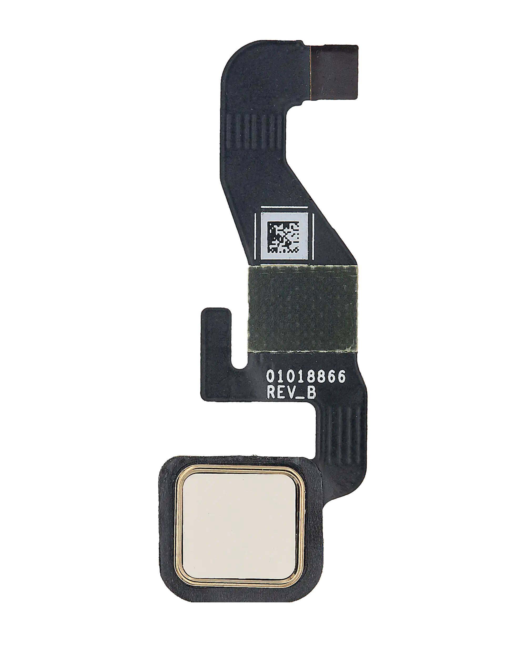 Home-Button-Flex-Kabel für Motorola Moto Z Droid (XT1650 / 2016) (Gold)