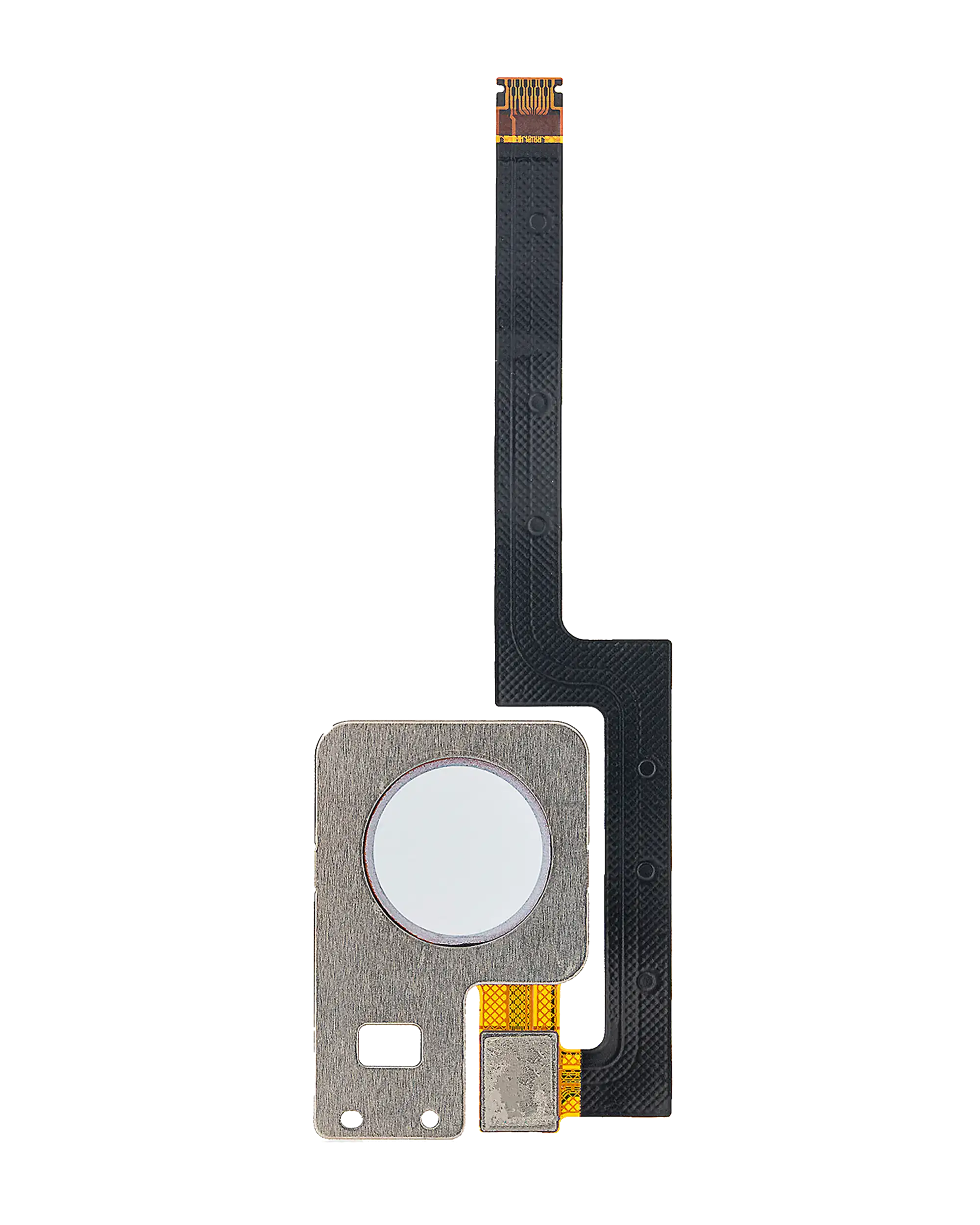 Fingerprint Sensor Flex Cable for Google Pixel 3 XL (Clearly White)