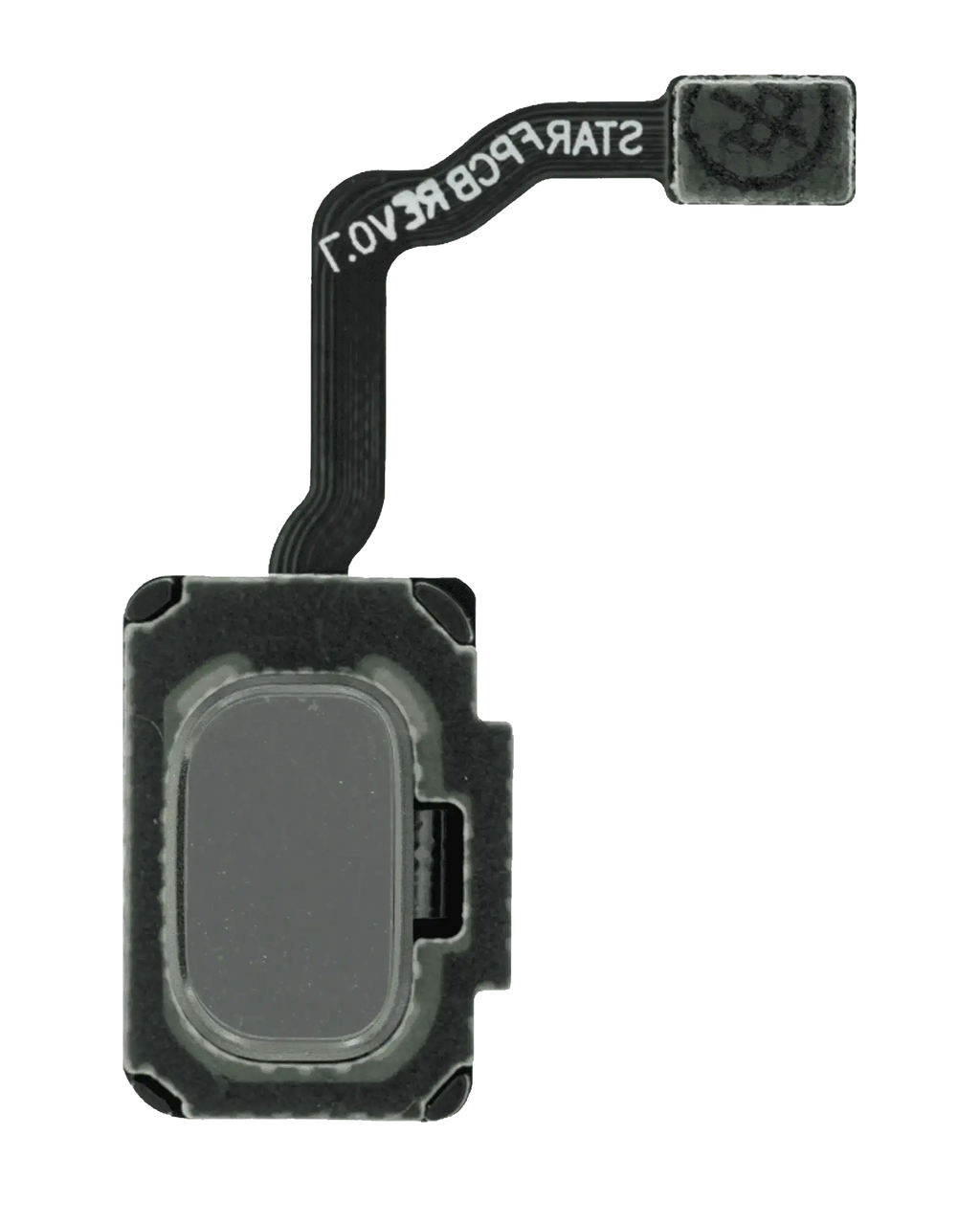 Fingerabdruckscanner mit Flexkabel für Samsung Galaxy S9 / S9 Plus (Arctic Silve