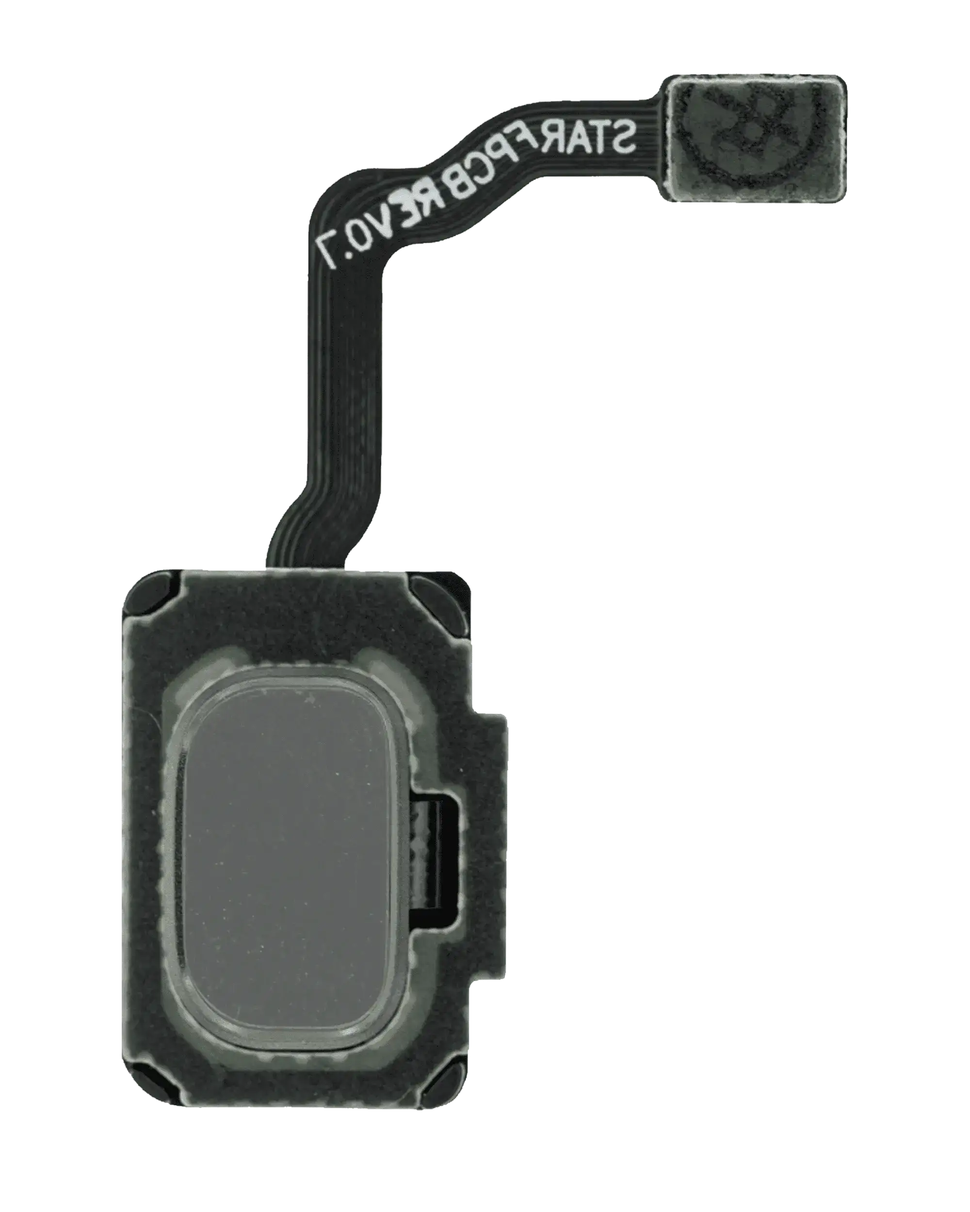 Fingerabdruckscanner mit Flexkabel für Samsung Galaxy S9 / S9 Plus (Arctic Silve