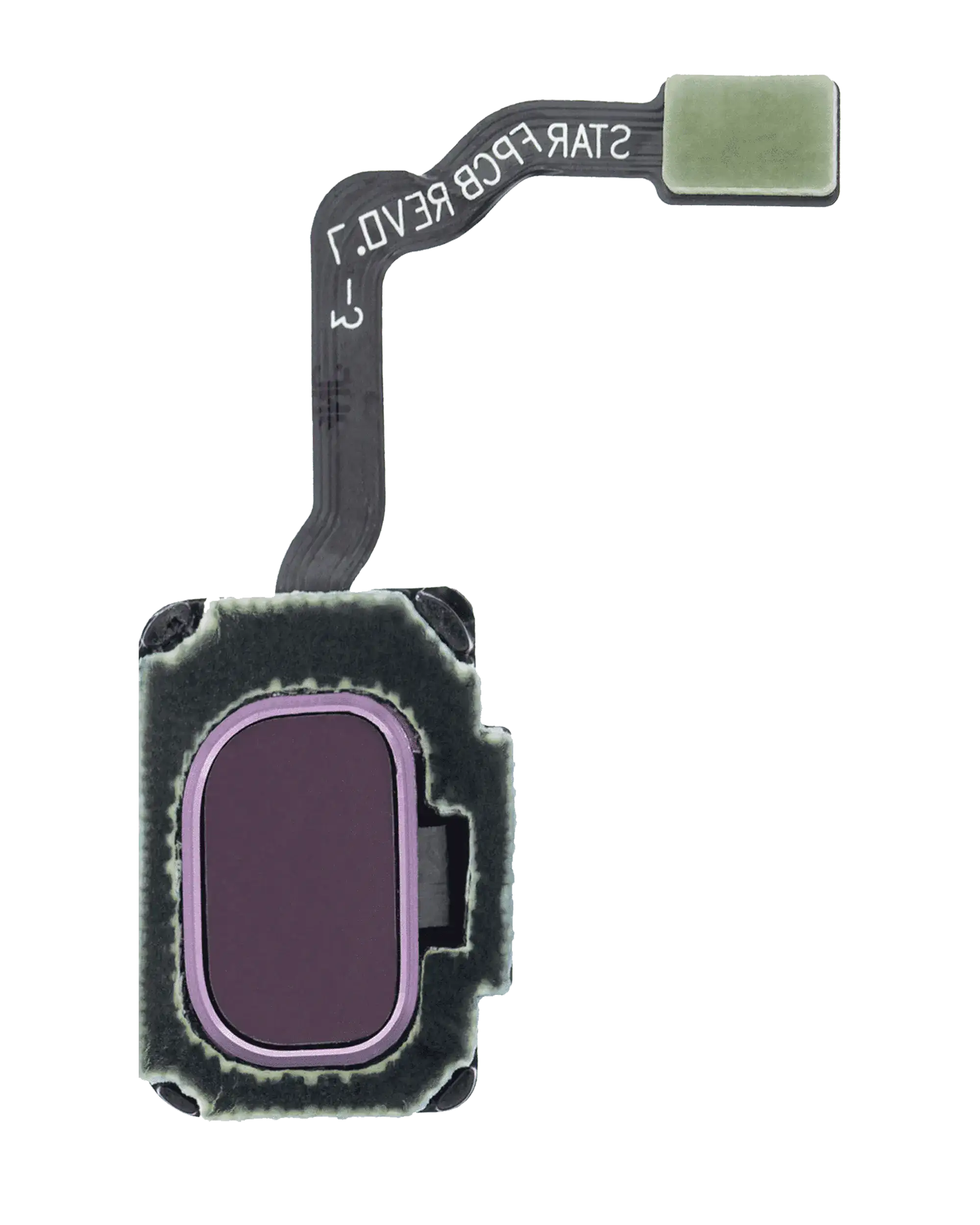 Fingerabdrucksensor mit Flexkabel für Samsung Galaxy S9 / S9 Plus (Lilac Purple)