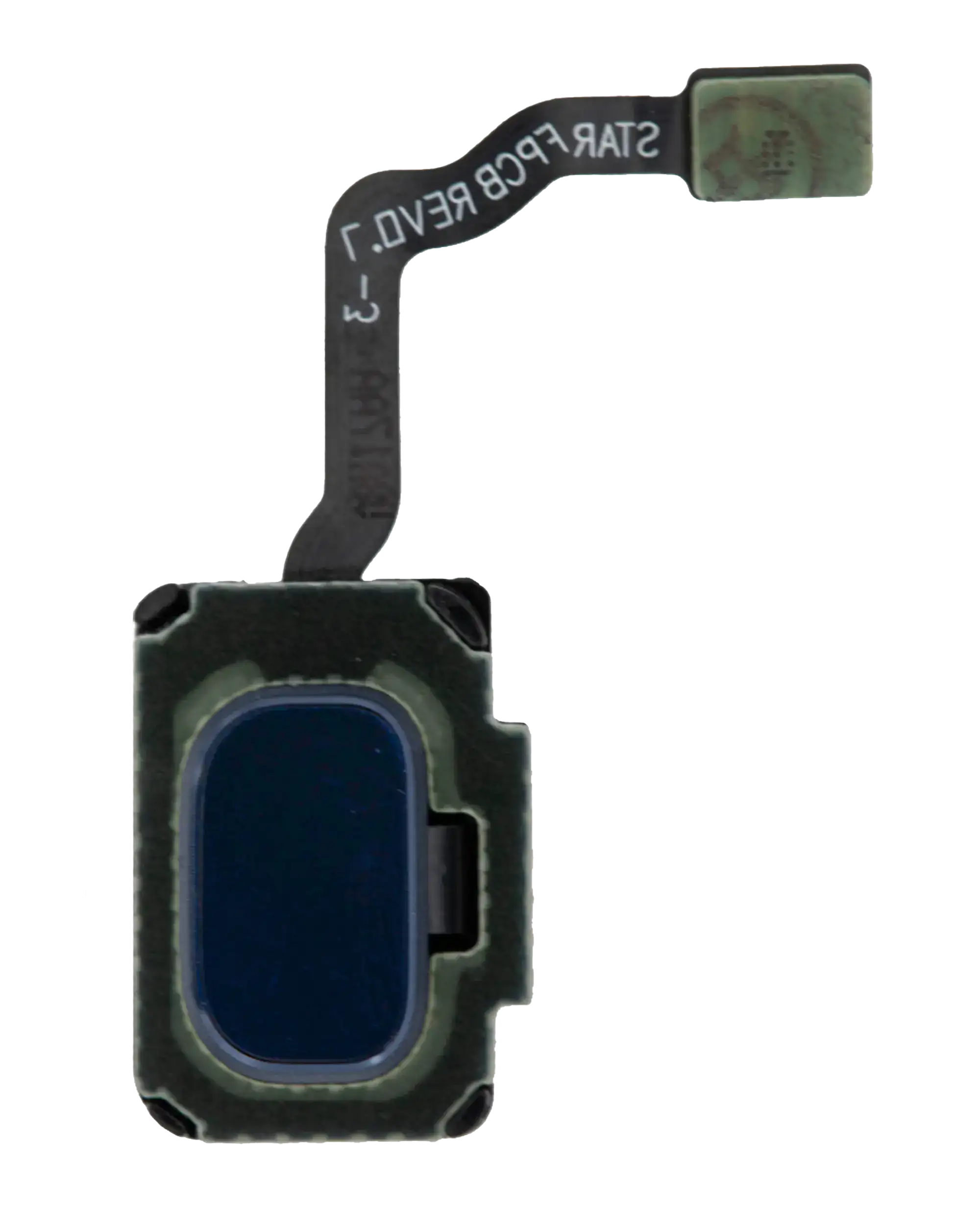 Fingerprint Sensor with Flex Cable for Samsung Galaxy S9 / S9 Plus (Coral Blue)