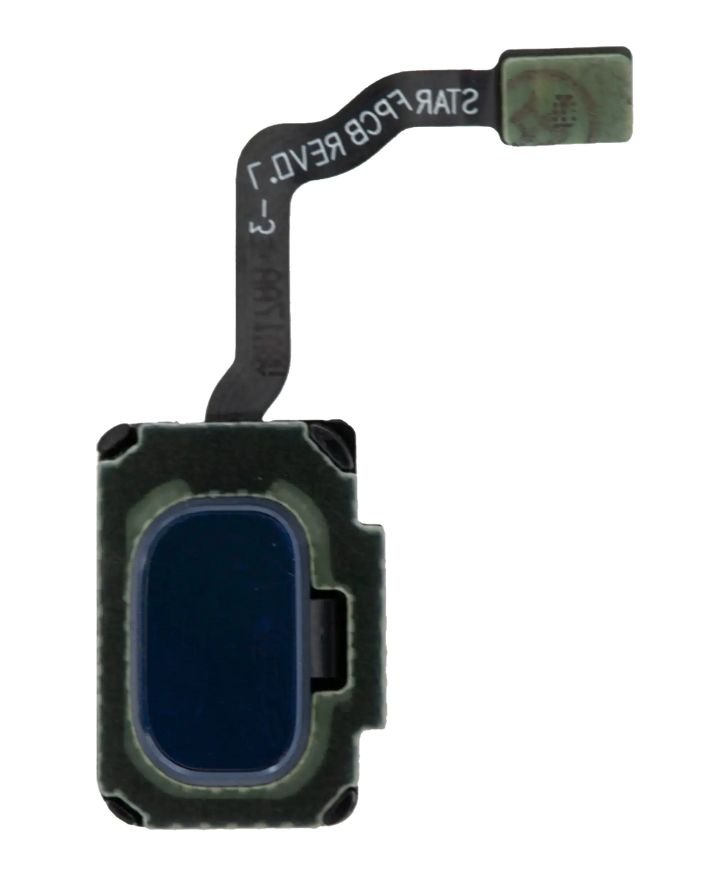Fingerprint Sensor with Flex Cable for Samsung Galaxy S9 / S9 Plus (Coral Blue)