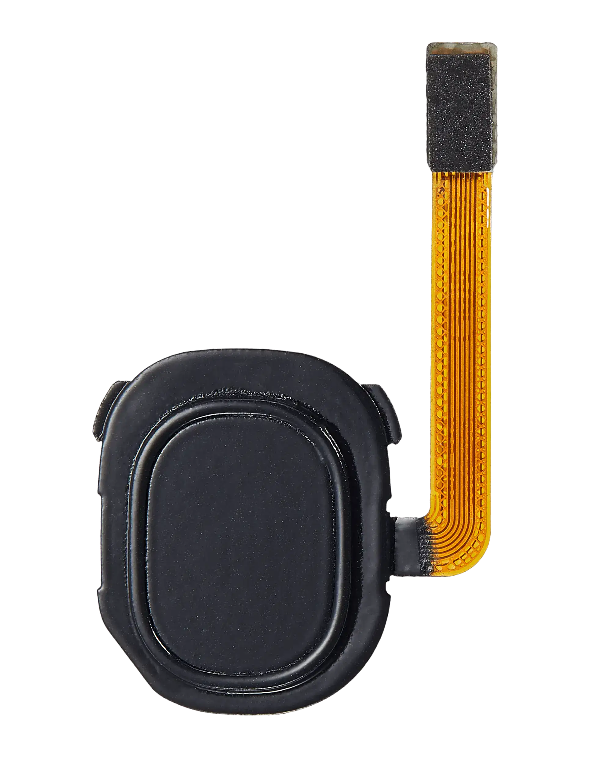 Fingerabdrucksensor mit Flexkabel für Samsung Galaxy A20 (A205/2019) (Schwarz)