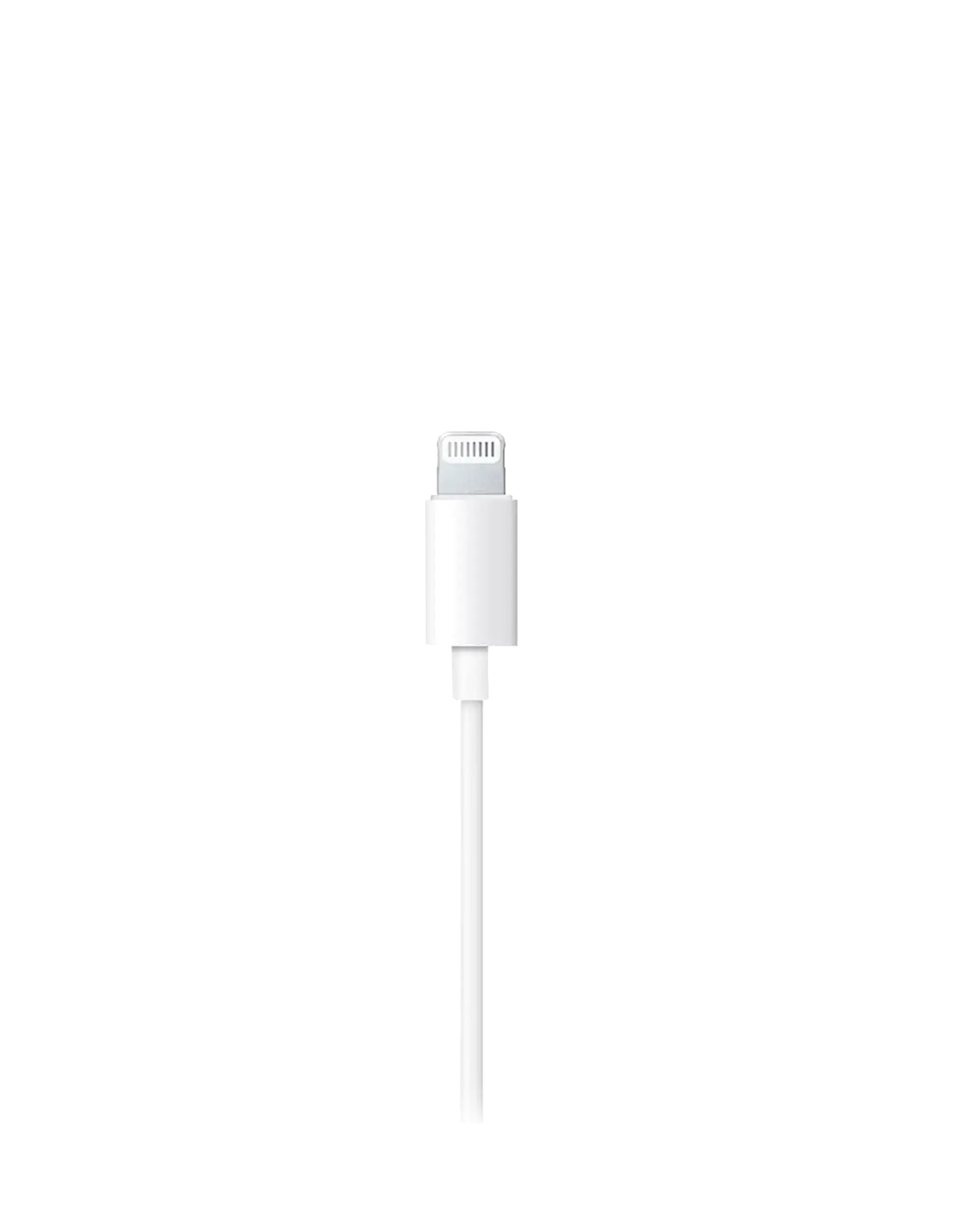 Apple EarPods Lightning (OEM Neu) 20er Pack für iPhone iPad iPod
