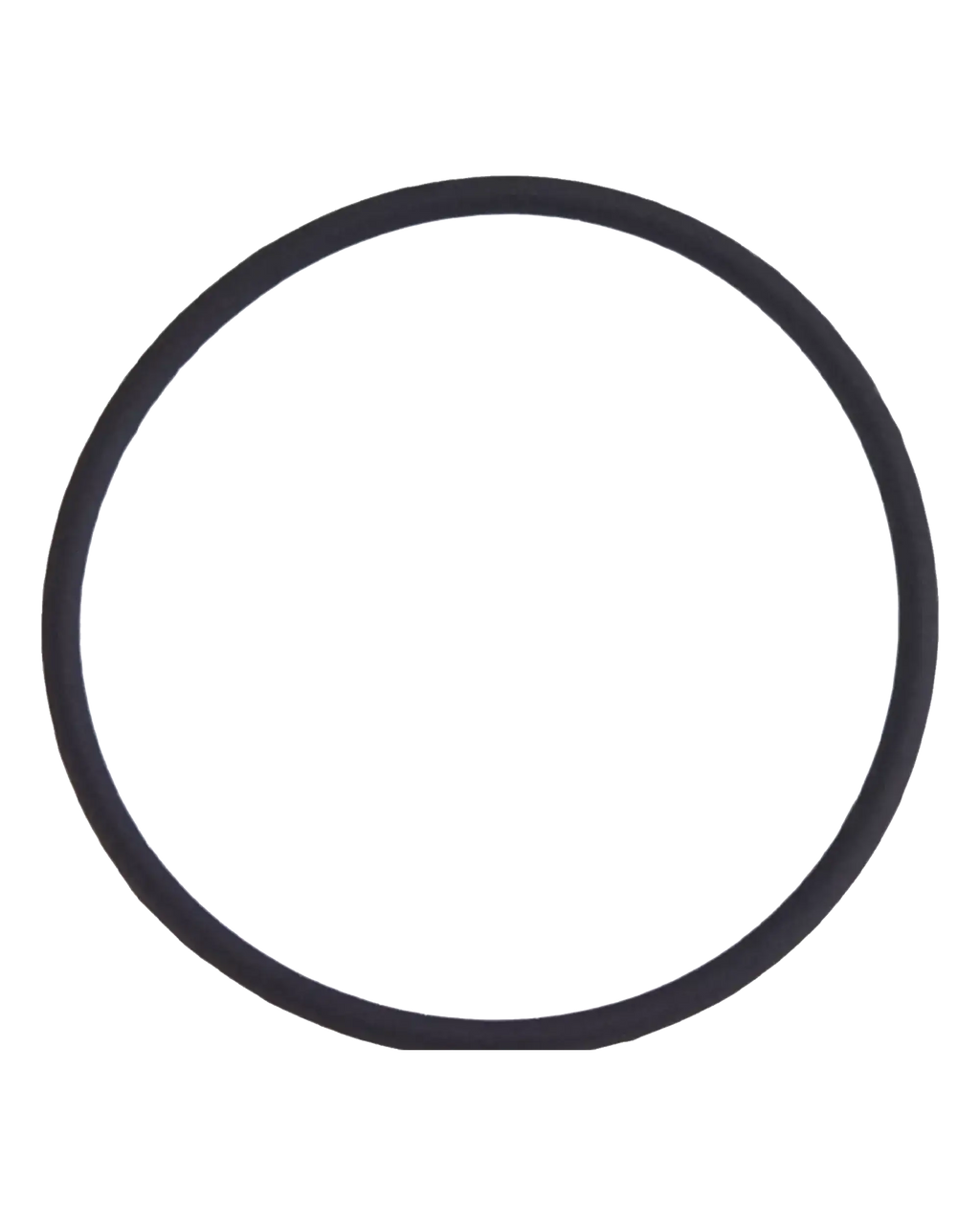 Rückkamera-Linsen-O-Ring-Dichtung für iPhone 8 Plus (100 Stück)