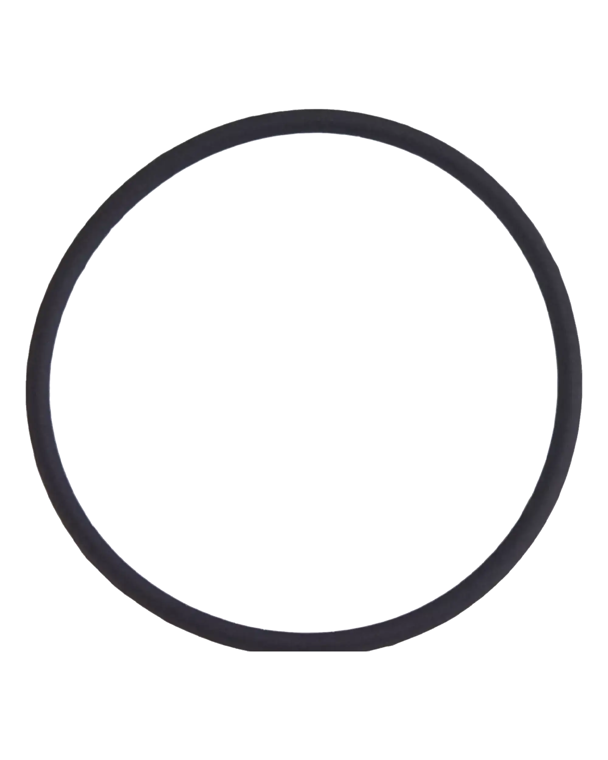 Rückkamera-Linsen-O-Ring-Dichtung für iPhone 8 Plus (100 Stück)