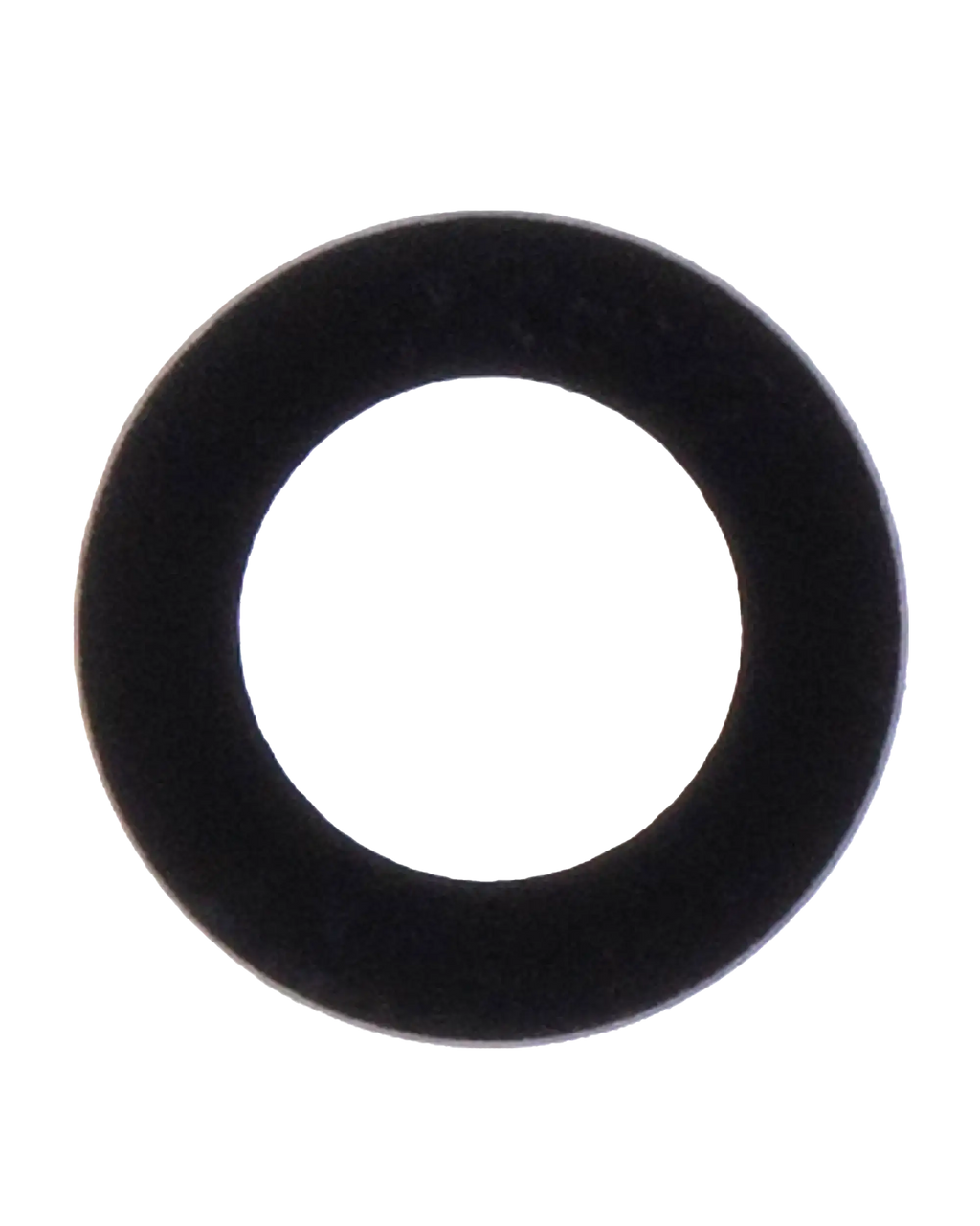 Rear Camera Lens for iPad 5 (2017) / iPad 6 (2018) / iPad 7 (2019) / iPad 8 (2020) / iPad 9 (2021) / Air 2 / Mini 4 / Mini 5 / iPad Pro 12.9" 1st Gen (2015) (10-pack)