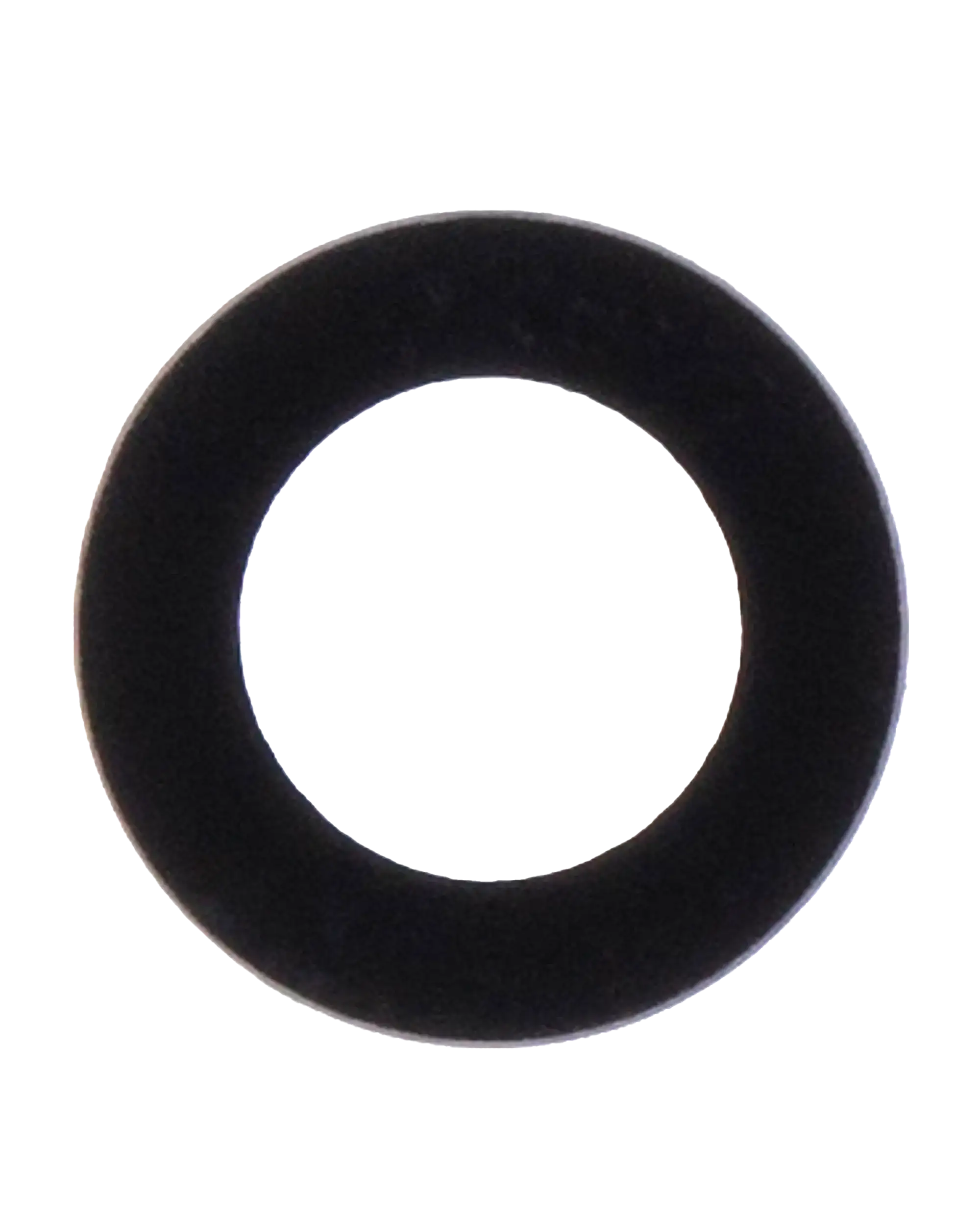 Rear Camera Lens for iPad 5 (2017) / iPad 6 (2018) / iPad 7 (2019) / iPad 8 (2020) / iPad 9 (2021) / Air 2 / Mini 4 / Mini 5 / iPad Pro 12.9" 1st Gen (2015) (10-pack)