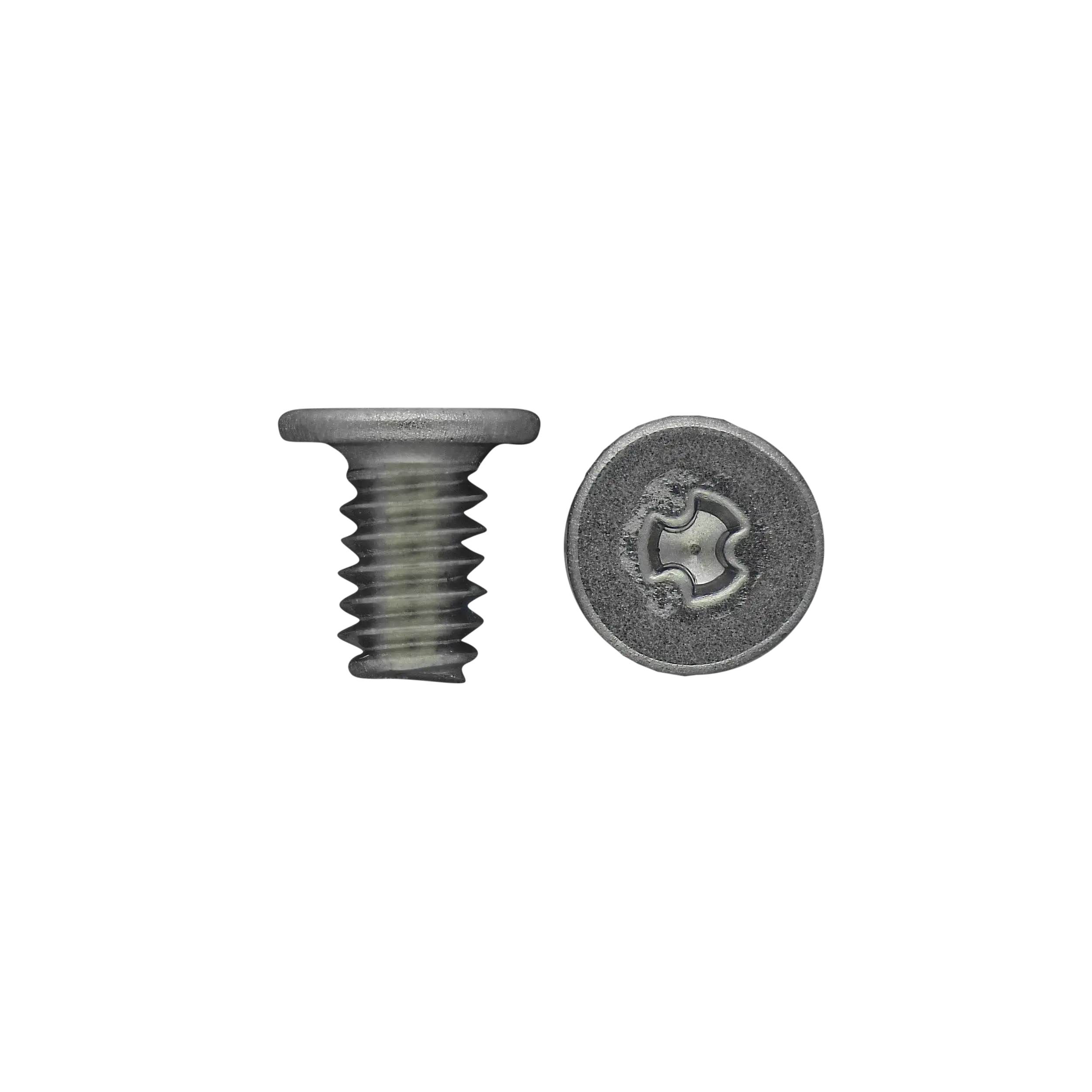 Screw Box 2.0 Nachfüllpackung [2C5] (100 Stück)