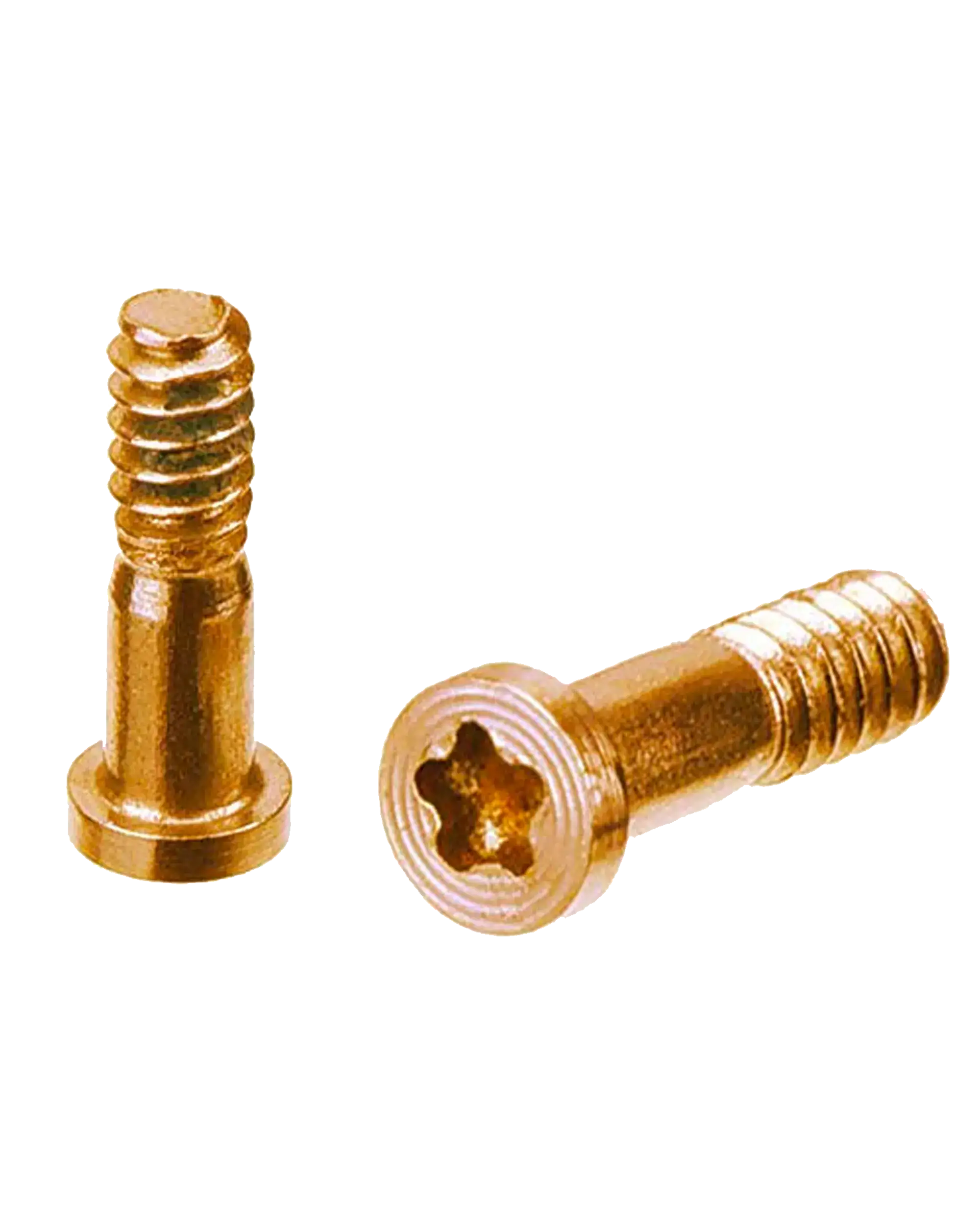 Pentalobe-Schrauben Gold 10er-Pack für iPhone 8/8 Plus/SE 2020/2022