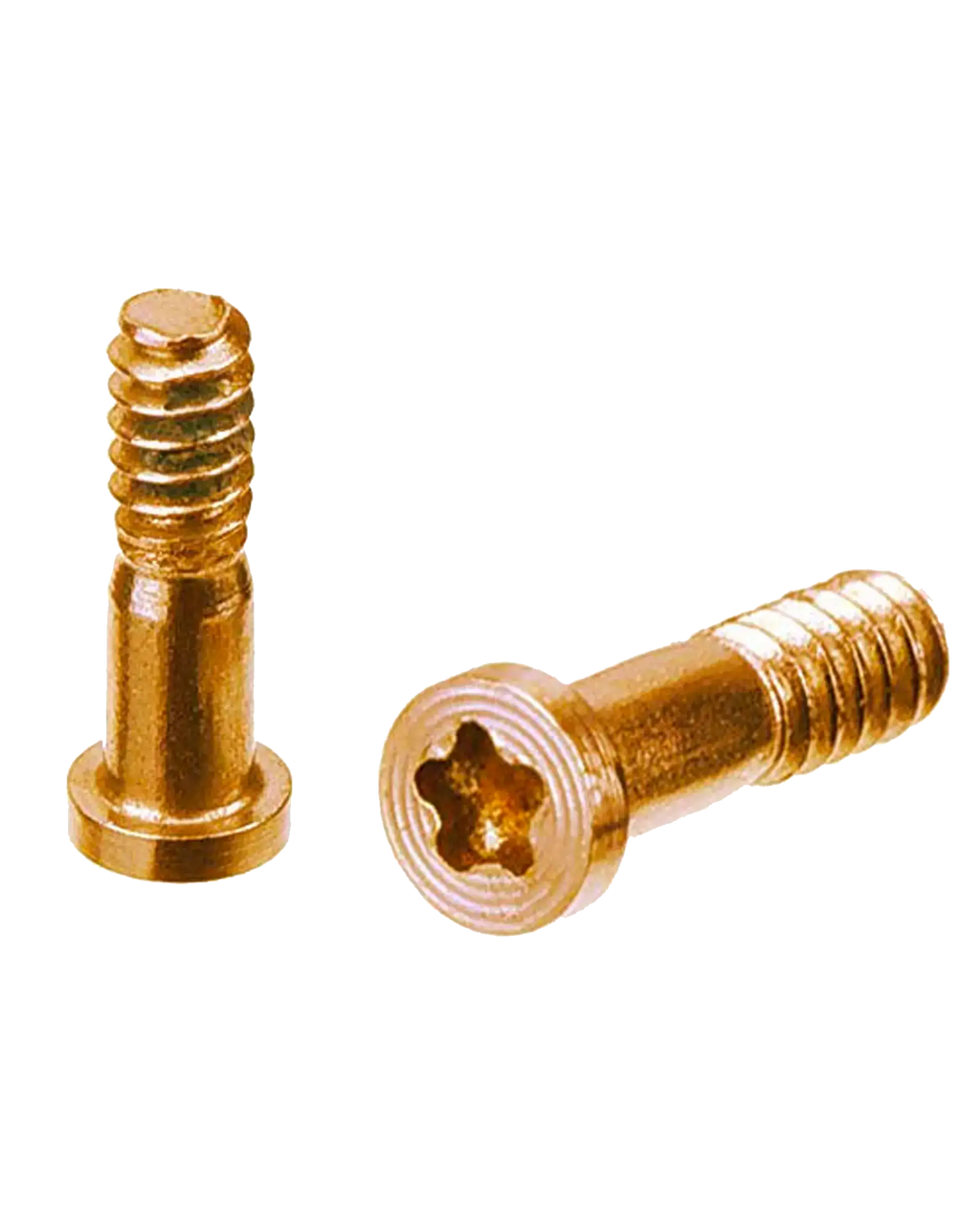 Pentalobe-Schrauben Gold 10er-Pack für iPhone 8/8 Plus/SE 2020/2022