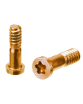 Pentalobe-Schrauben Gold 10er-Pack für iPhone 8/8 Plus/SE 2020/2022