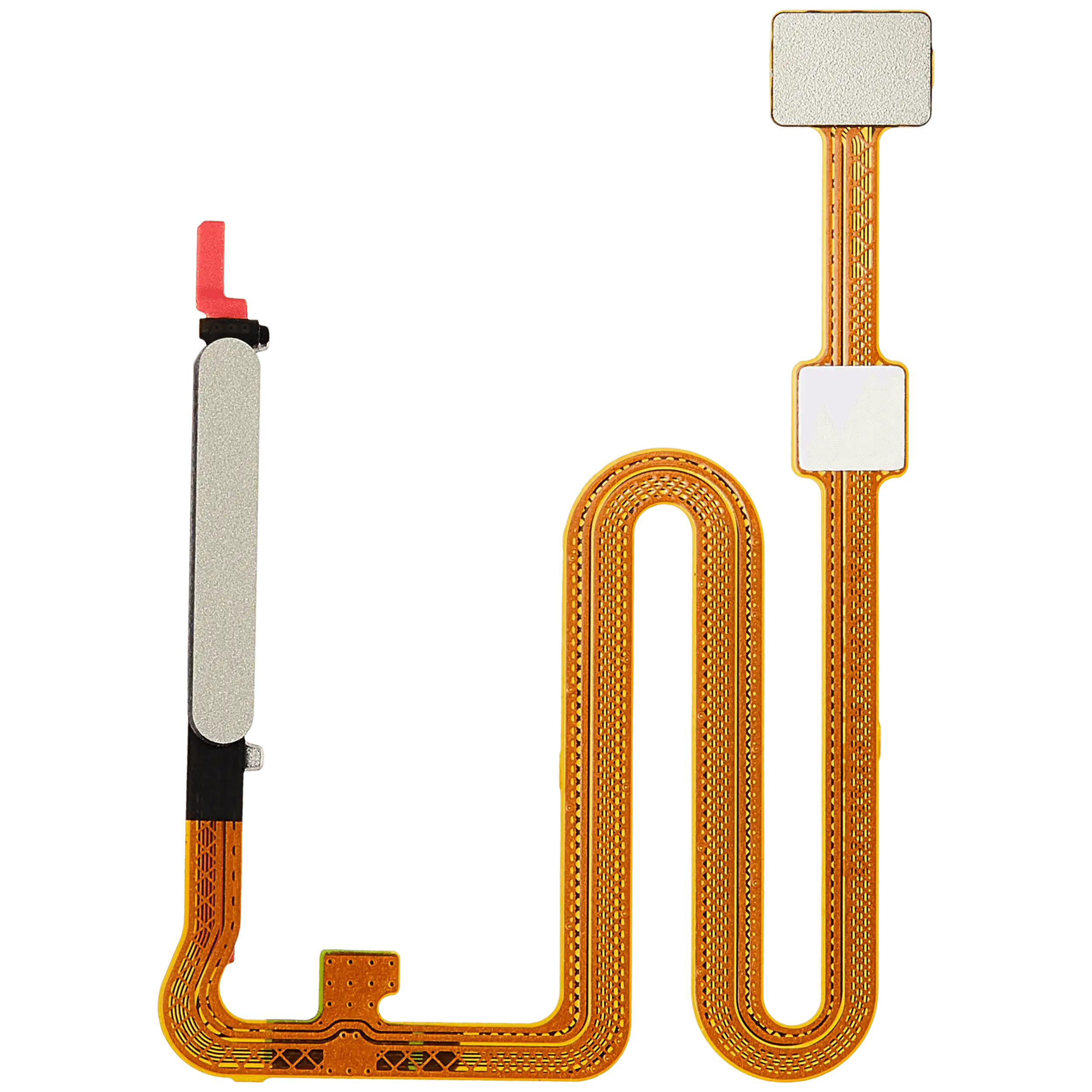 Fingerprint Sensor with Flex Cable for Samsung Galaxy A16 5G (A166P / 2024) (Gold)