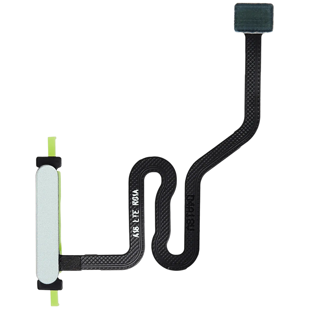 Fingerprint Scanner with Flex Cable for Samsung Galaxy A16 4G (A165B / 2024) (Water Green)