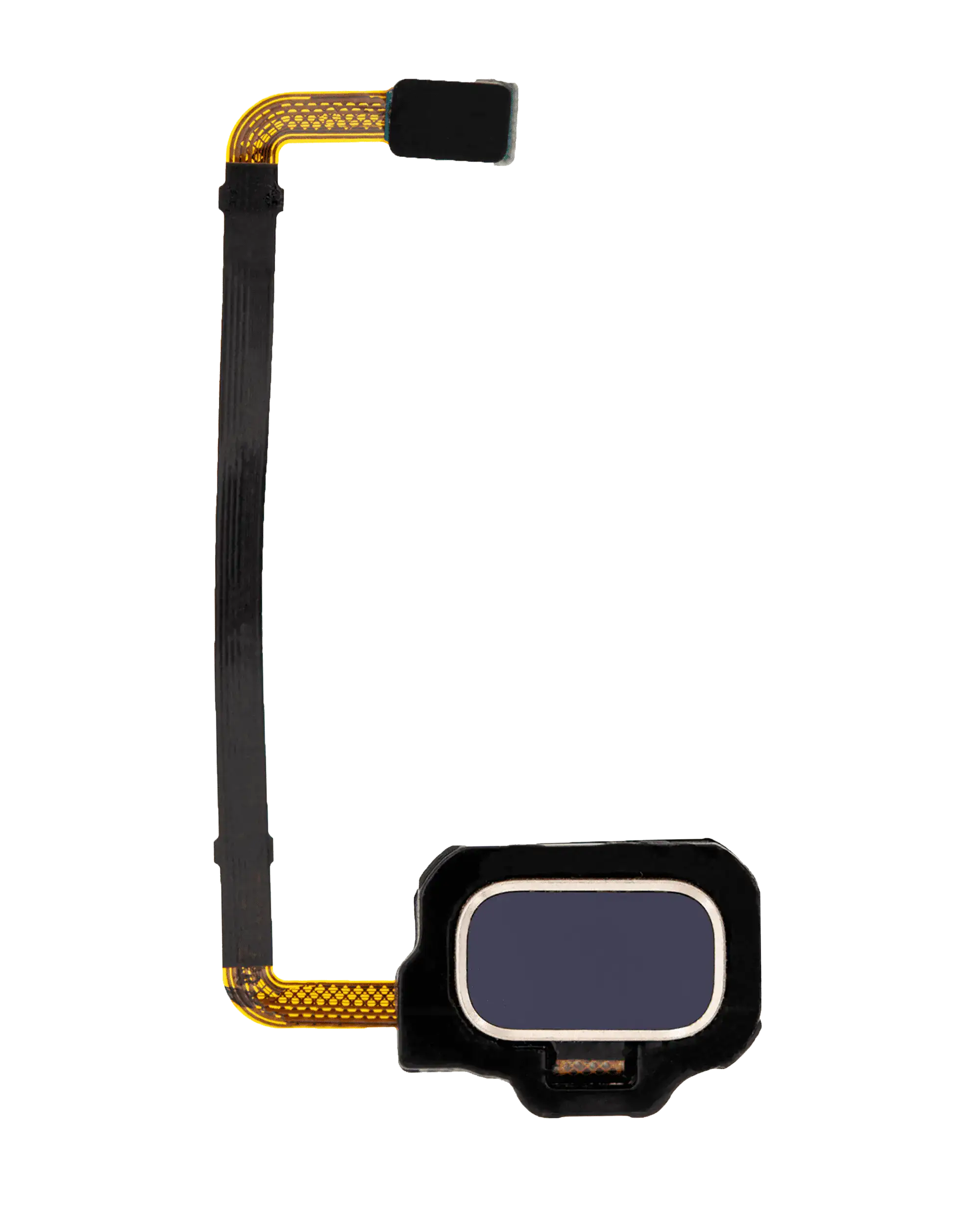 Fingerprint Reader mit Flex-Kabel für Samsung Galaxy S8 Active (Blau)