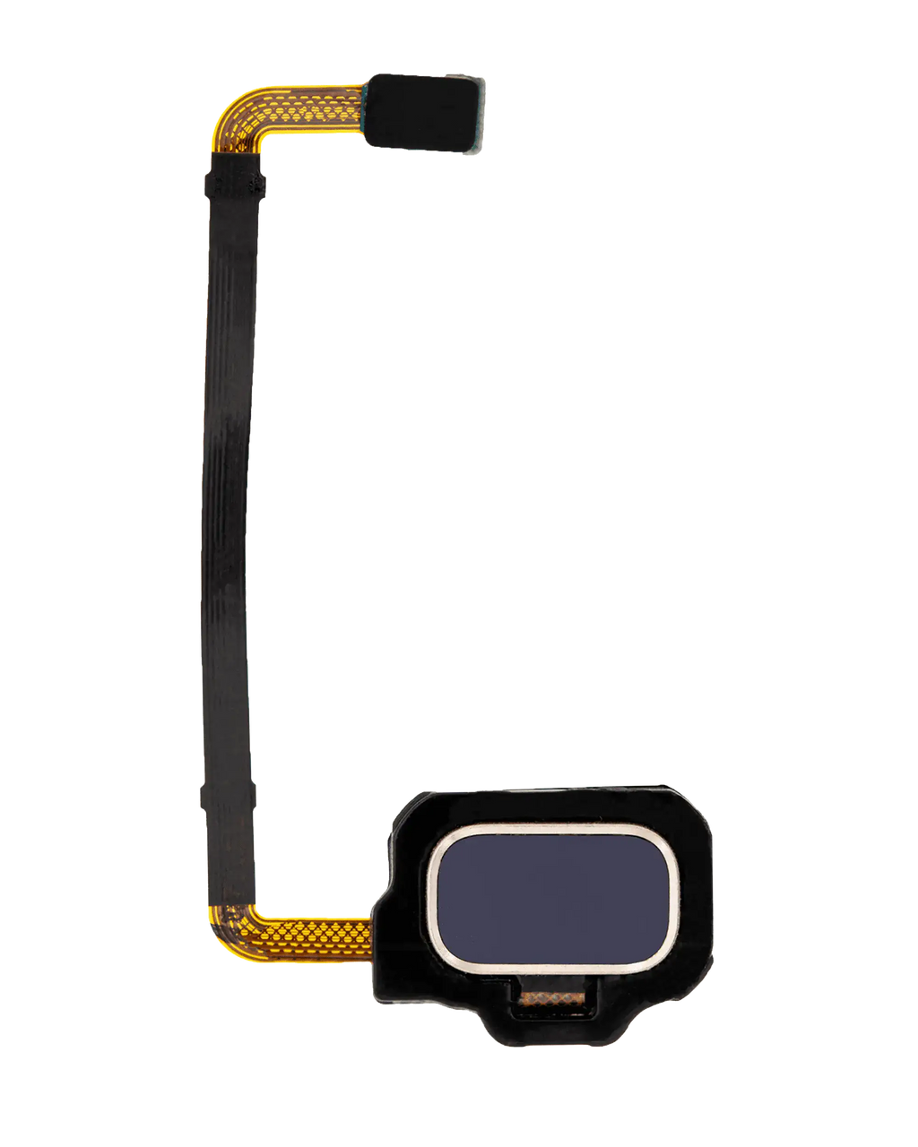 Fingerprint Reader mit Flex-Kabel für Samsung Galaxy S8 Active (Blau)