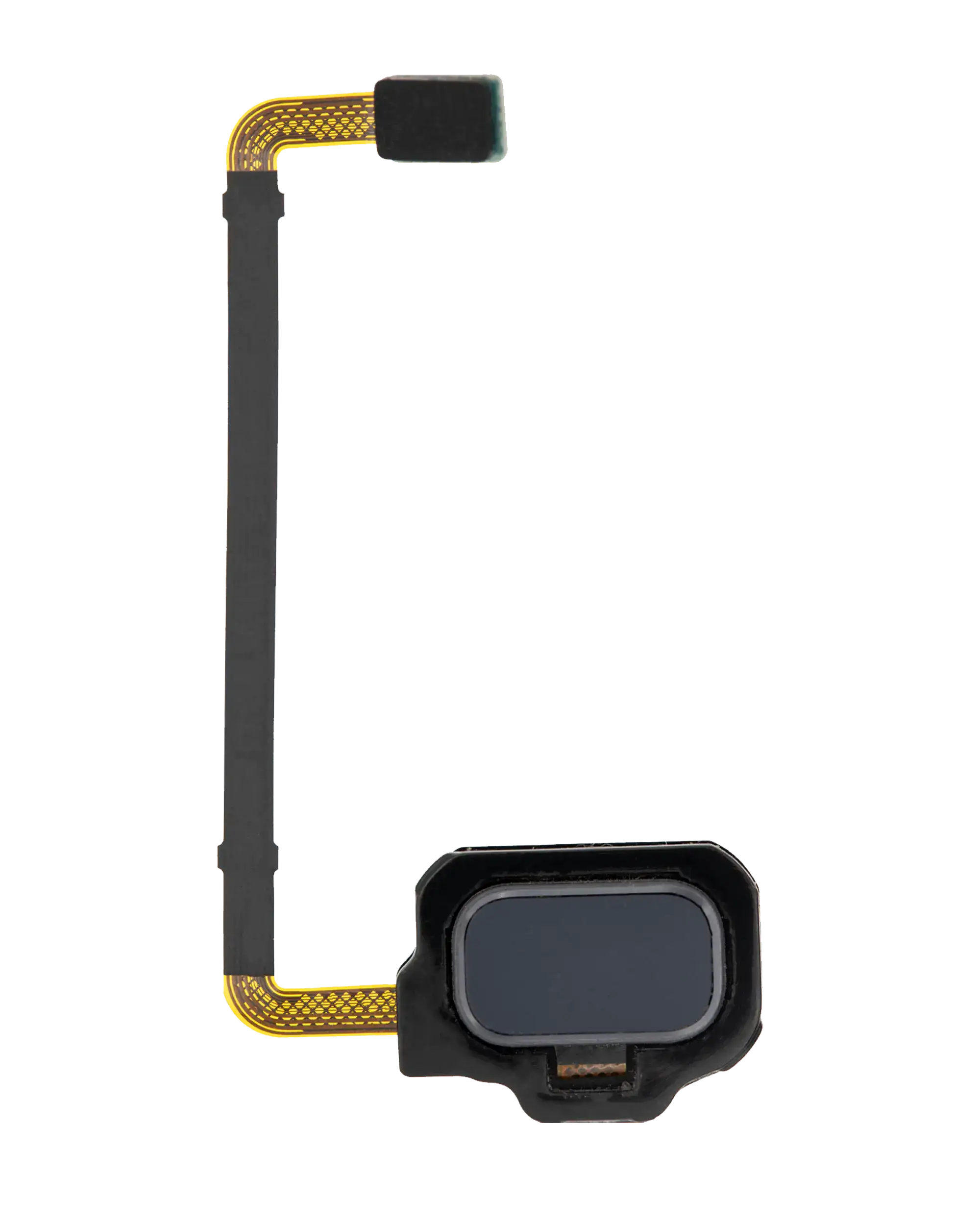 Fingerabdrucksensor mit Flexkabel für Samsung Galaxy S8 Active (Meteor Gray)