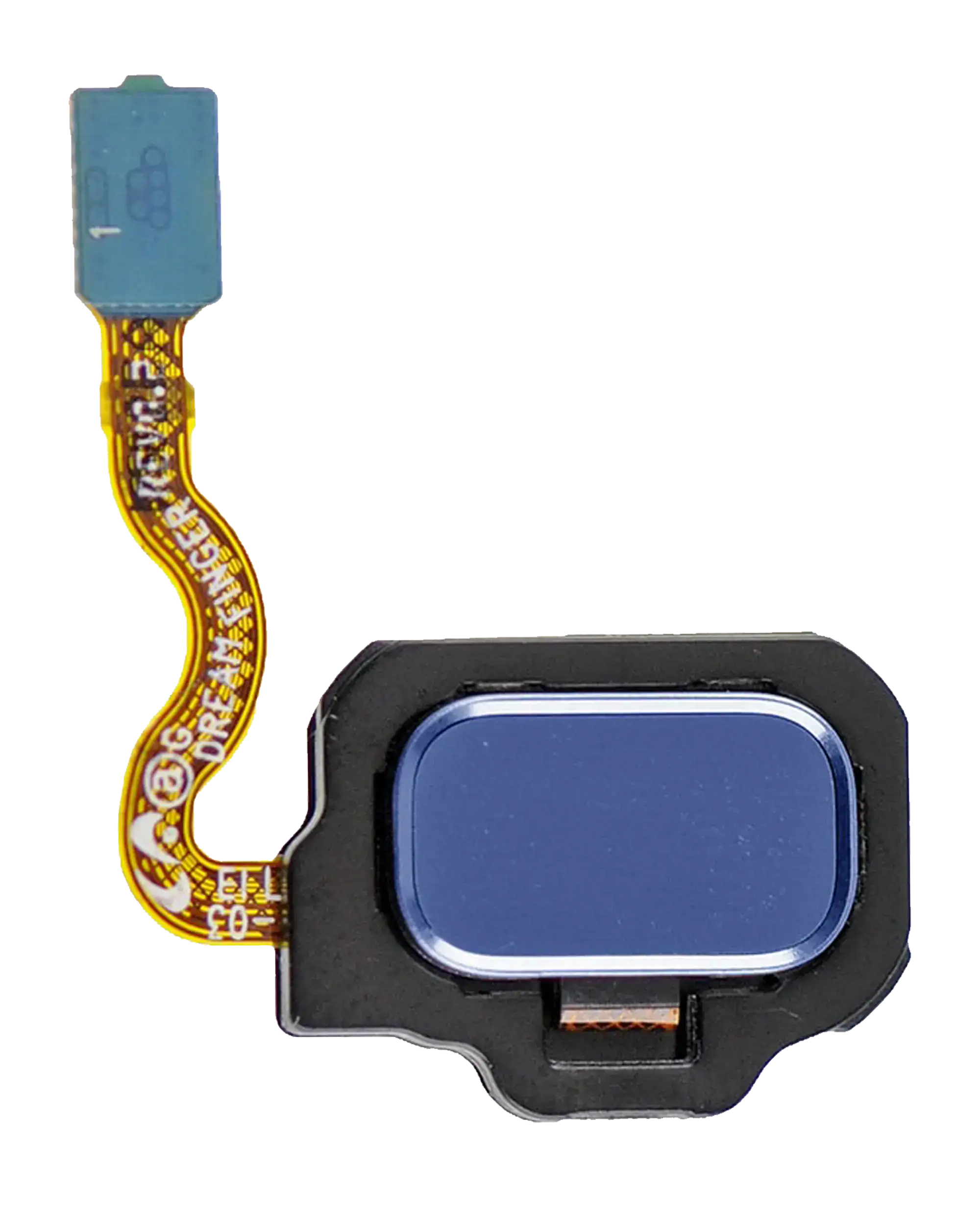 Fingerprint Scanner with Flex Cable for Samsung Galaxy S8 / S8 Plus (Coral Blue)