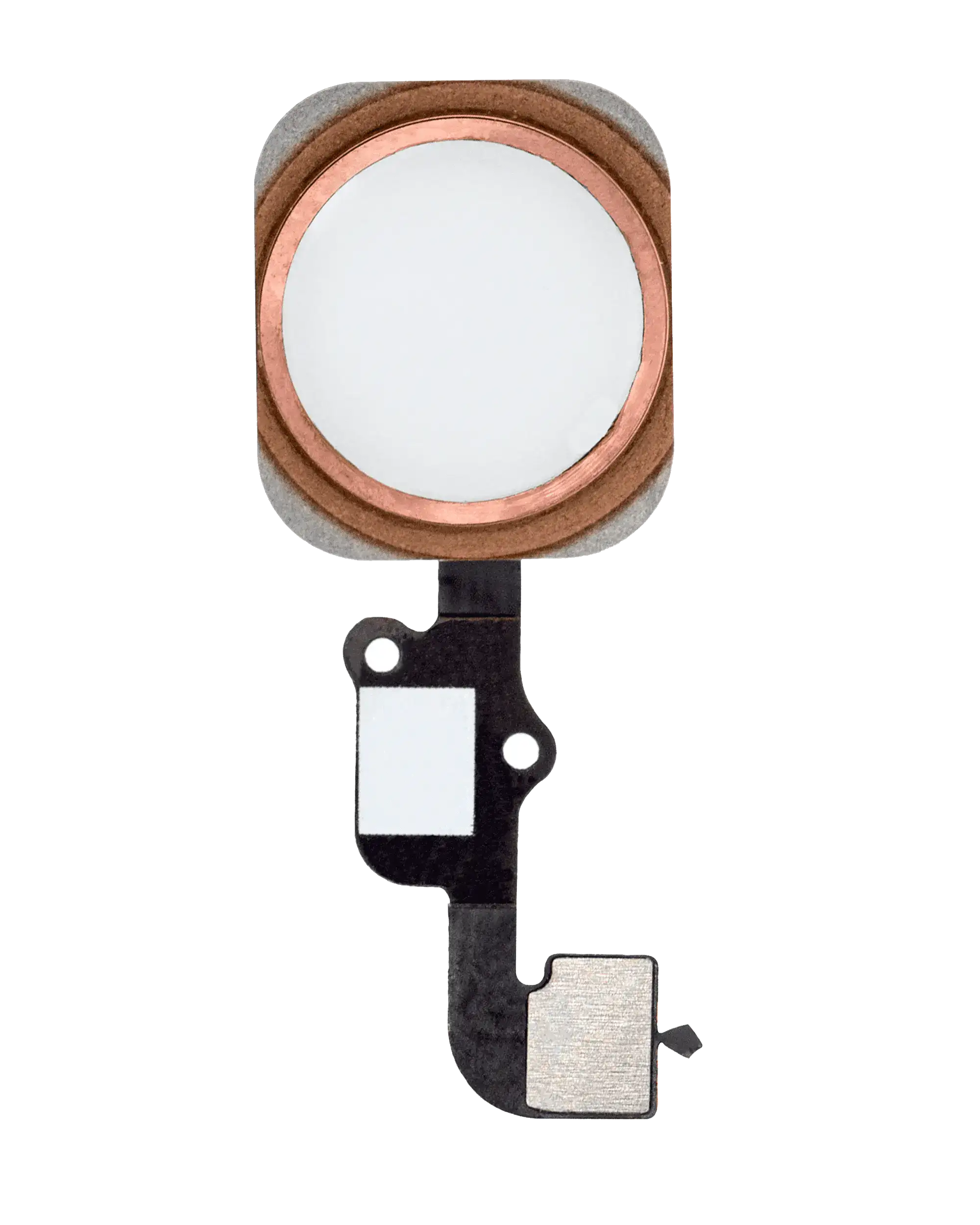 Home-Button mit Flex für iPhone 6S / 6S Plus (Rose Gold)
